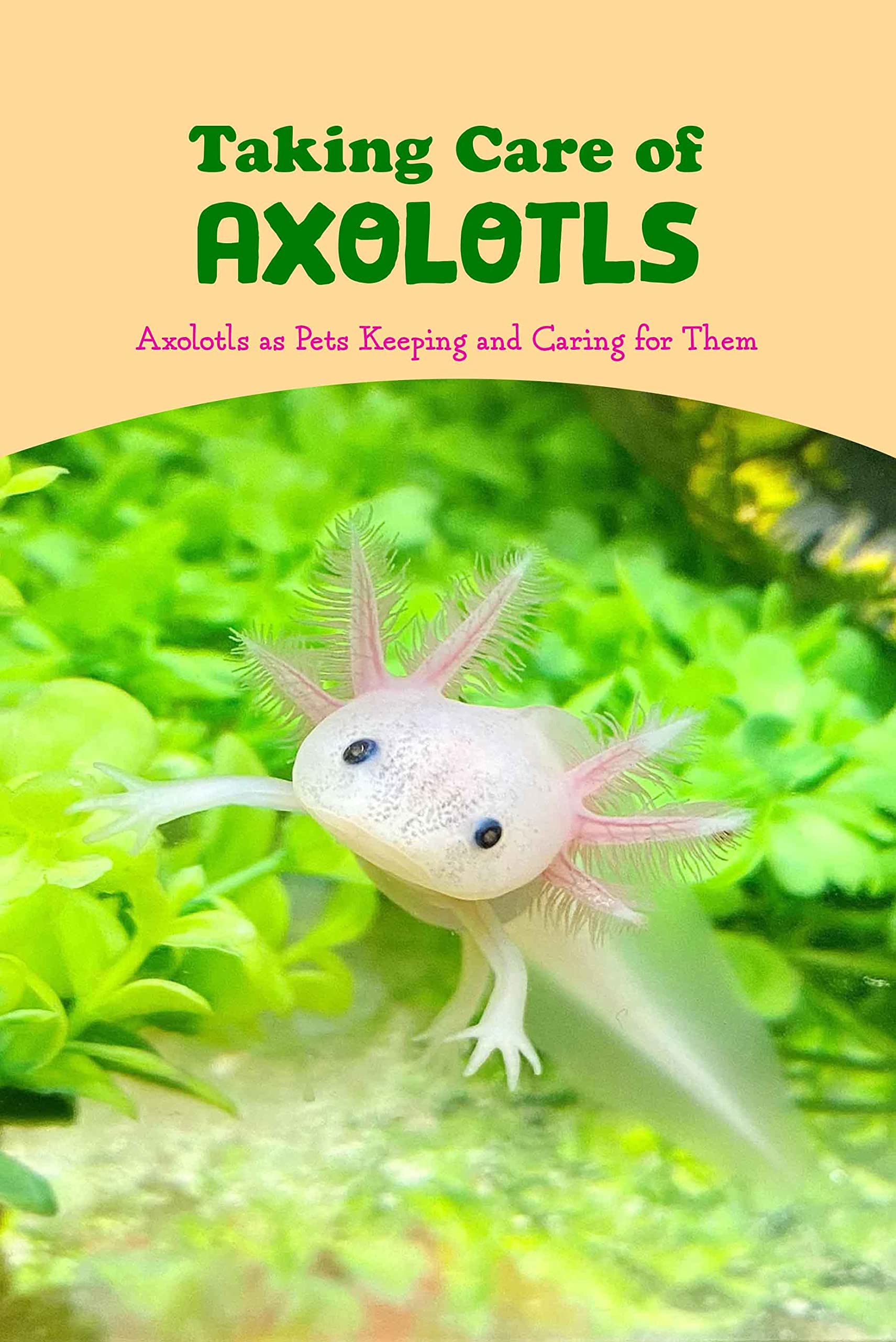 Buy Taking Care of AxolotlsAxolotls as Pets Keeping and Caring for