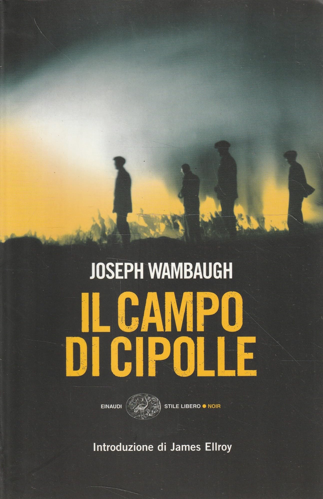 Il campo di cipolle