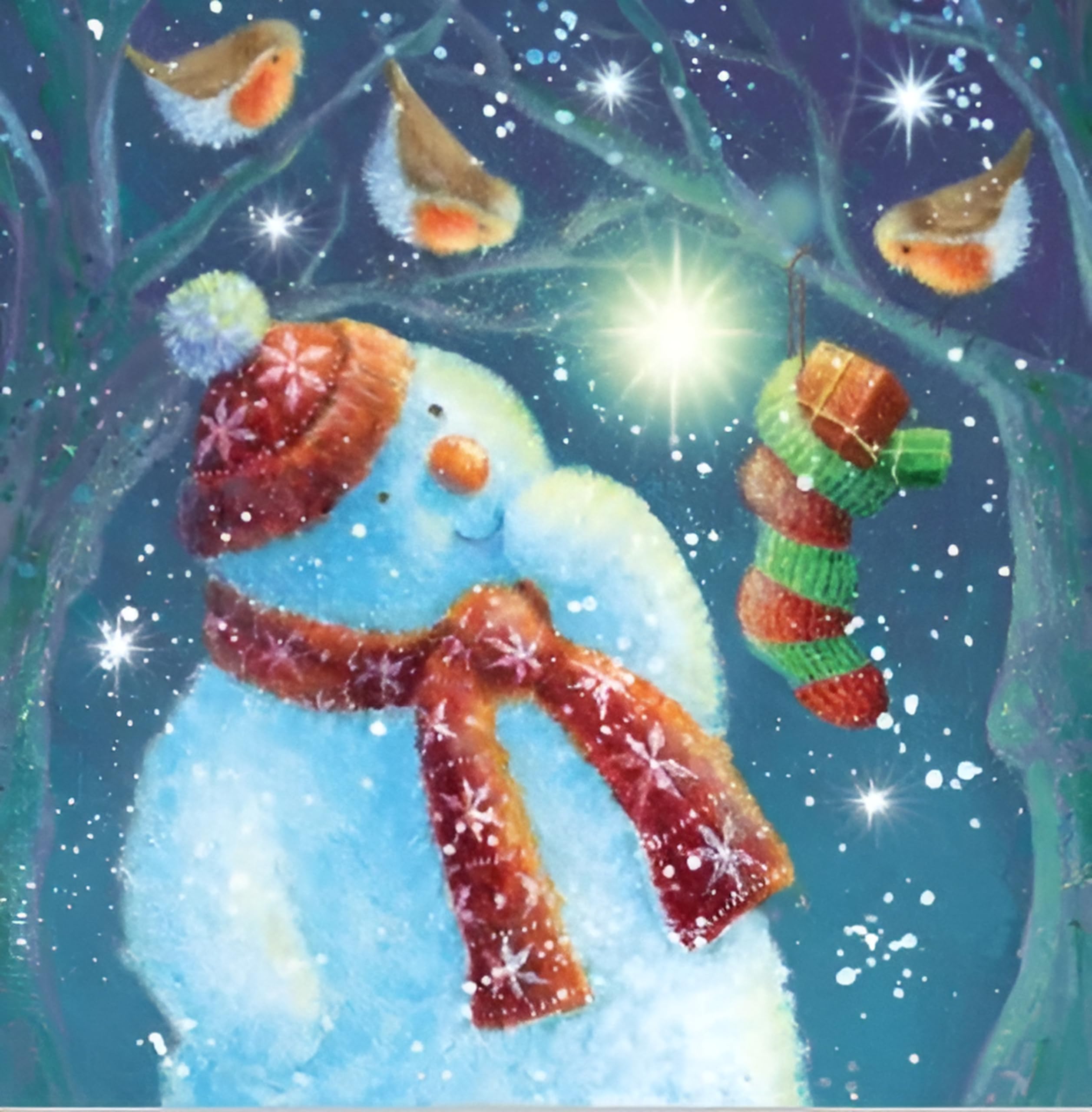 Noel Tatt Charity Christmas Cards Pack of 10, Charity Christmas Cards with Robins and Snowman Design