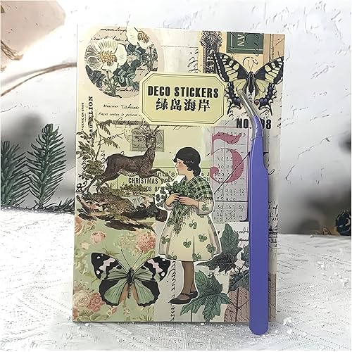 Dwpetzo Journaling Sticker Book for Adults,20 Sheets PET Transparent Aesthetic Scrapbook Stickers Ephemera for Junk Journals Supplies, Bujo, Planners