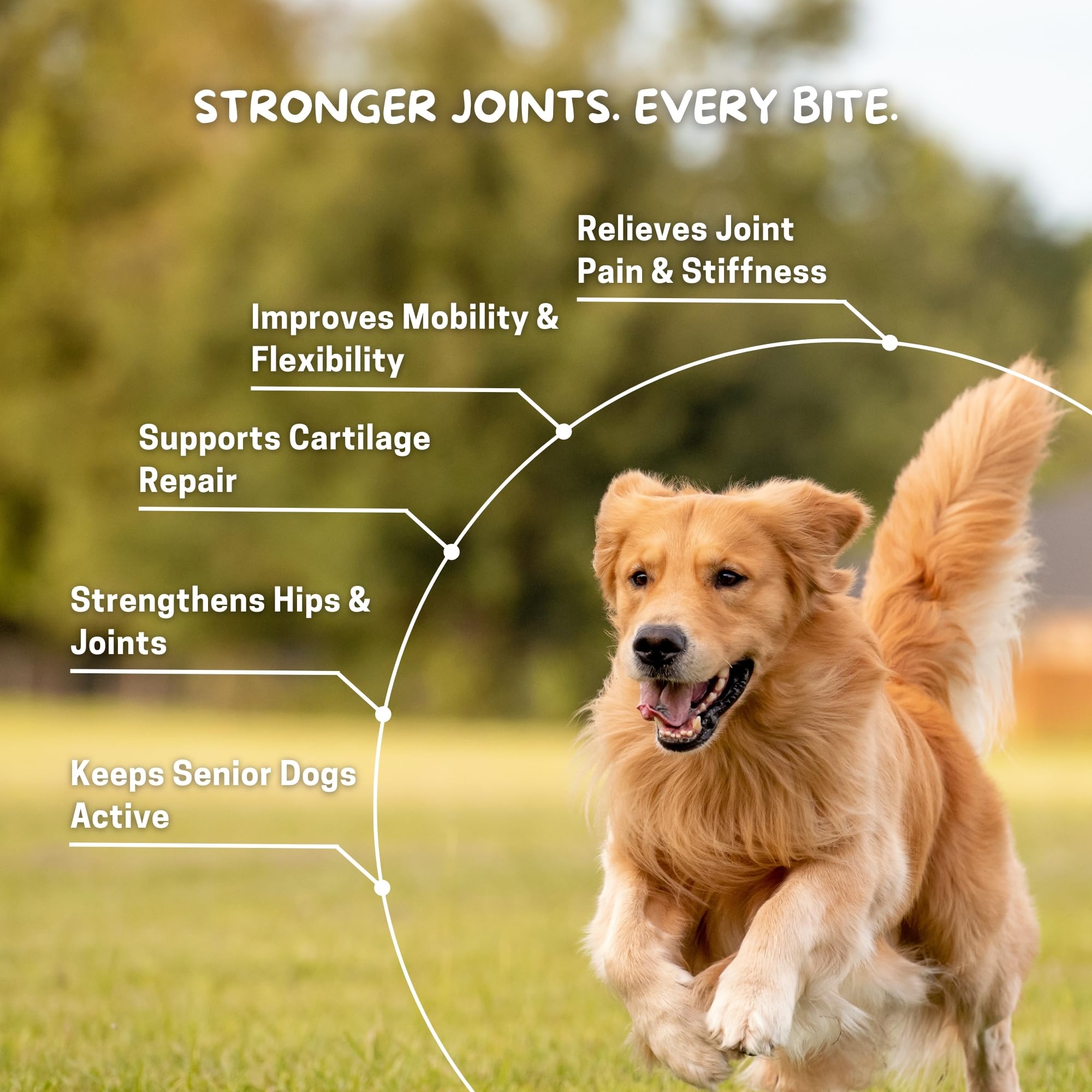 Cuddl Hip & Joint Supplement for Dogs | Mobility, Pain Relief & Cartilage Care Chews | Glucosamine, Collagen, Calcium, MSM, Turmeric, Fish Oil | Senior & Adults | No Fillers & Preservatives — Amazon image 3