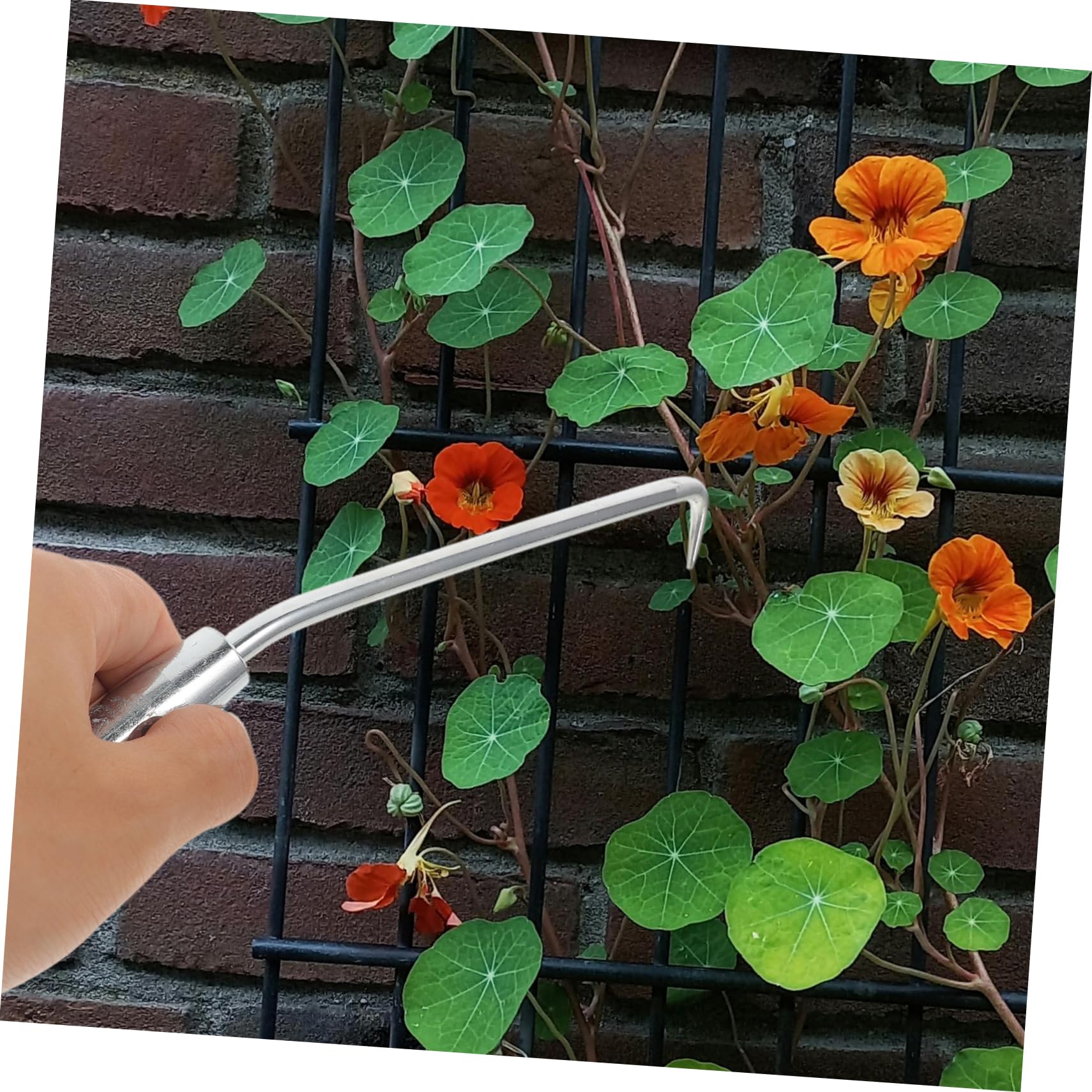 TOYANDONA 4 Set Ganci per Legare Recinzioni E Piante Rampicanti Strumento Pratico E Resistente per Giardinaggio 2 Pezzi * 4
