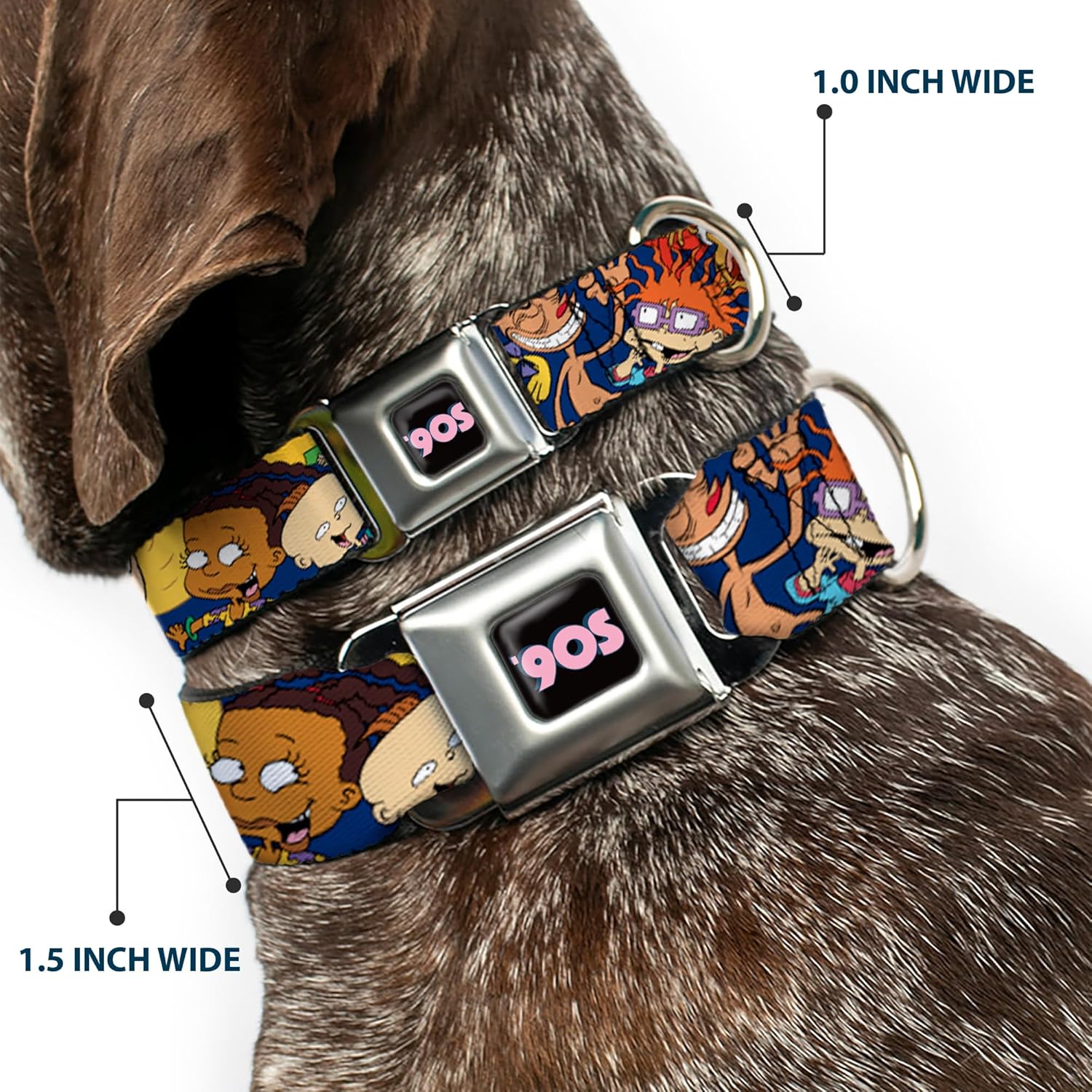 Dog Collar Seatbelt Buckle Nick 90s Rewind 16 Character Poses Navy Blue 15 to 26 Inches 1.0 Inch Wide