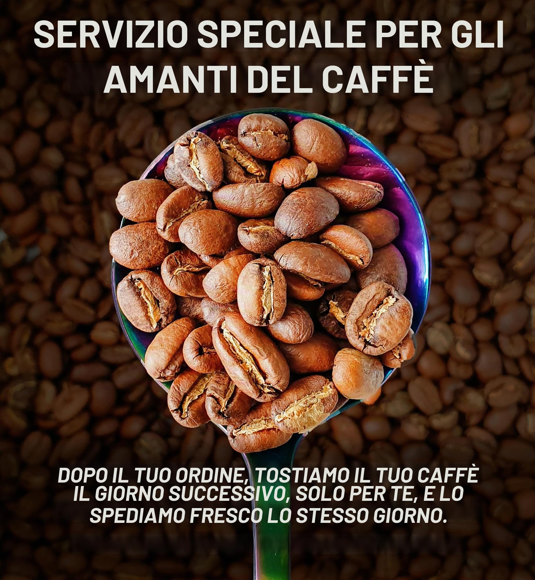 Freshest Specialty Coffee Beans | 80 CUP Roastery | Single Origin ~ Roasted After Order (1000g, Ethiopia Yirgacheffe)