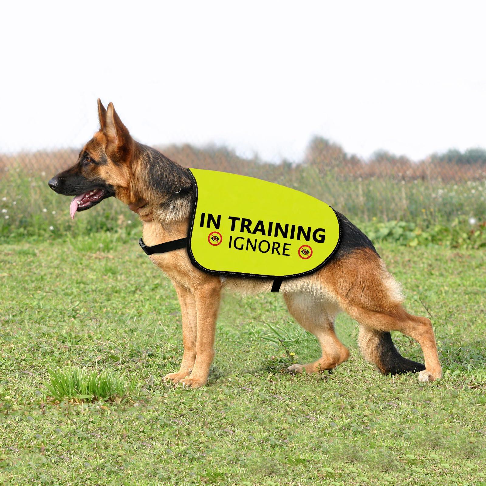 Training Hundejacke Weste Ignorieren Hundeweste Hund Walking Slogan Warnweste (in Training Ignorieren-Large)