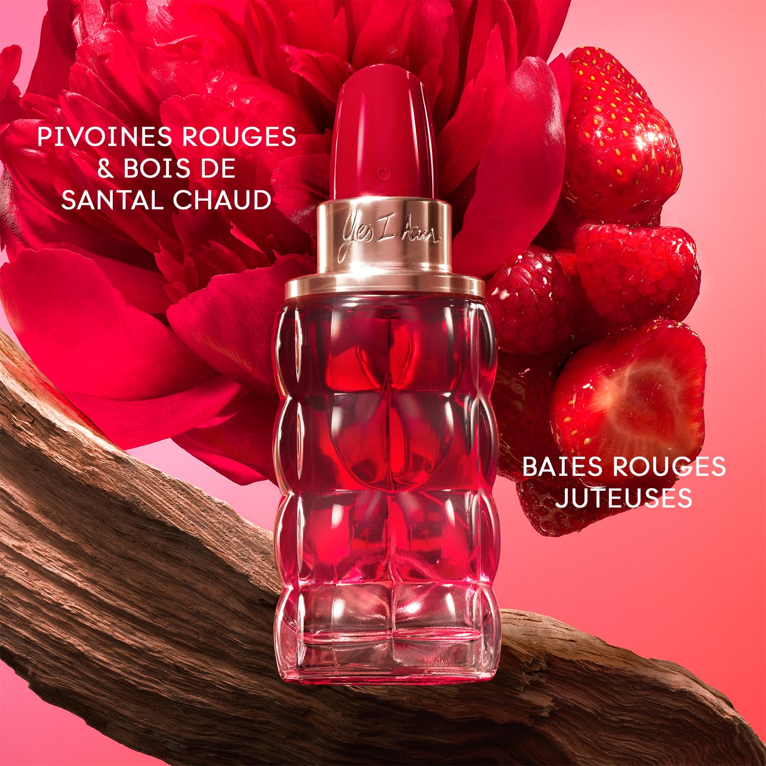 Cacharel - Yes I Am Bloom Up! - Coffret Cadeau Eau de Parfum - Parfum pour Femme Pétillante et Optimiste - Fragrance Florale et Ambrée - Longue Tenue - Parfum de Luxe pour Femme - 50 ml & 10 ml