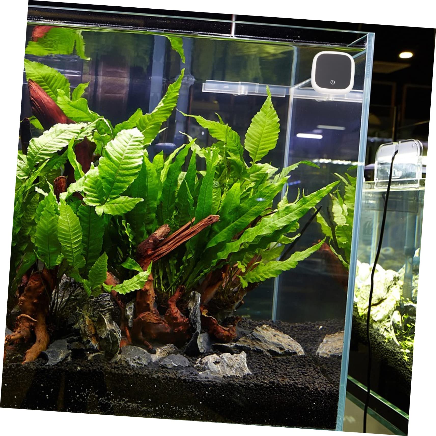 BESPORTBLE 4stücke Digitales Aquarium-thermometer Präzises Kabelloses Thermometer Für Aquarien Einfach Anzubringen Langlebig Für Optimale Wassertemperaturüberwachung Geeignet