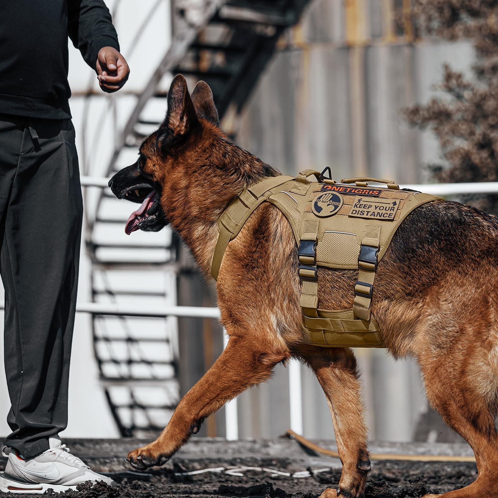OneTigris Imbracatura tattica per cani, siluro con 4 fibbie in metallo, 3 anelli a D in metallo, 2 manici e strisce riflettenti No-Pull, imbracatura di sicurezza regolabile per cani di taglia