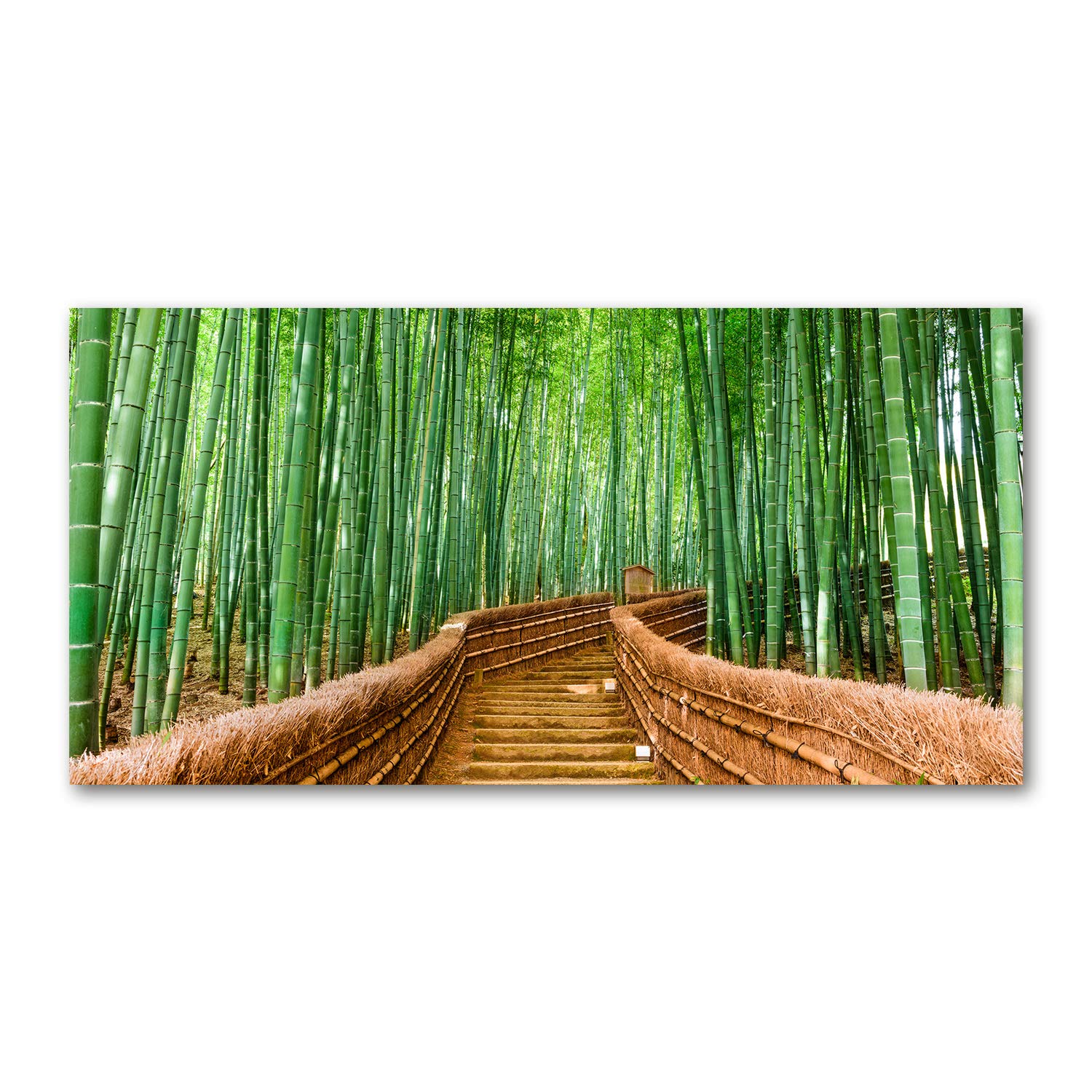 Forêt de bambous vert tableau en verre panoramique 120x60 cm pour cuisine zen