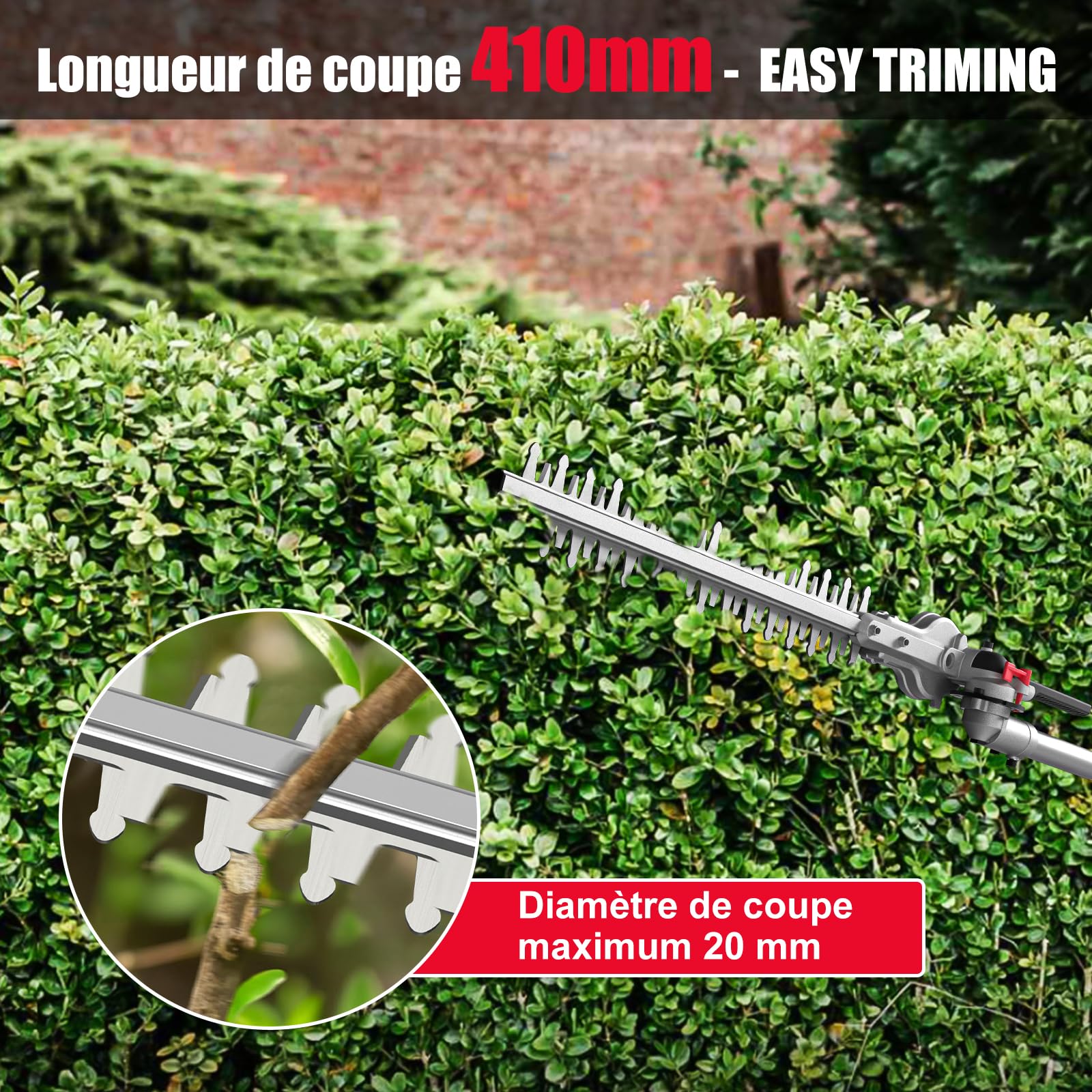 HYCHIKA Taille Haie Télescopique Électrique 900W, Élagueuse sur Perche, Extensible 200-250 cm, Double Interrupteur et Poignée
