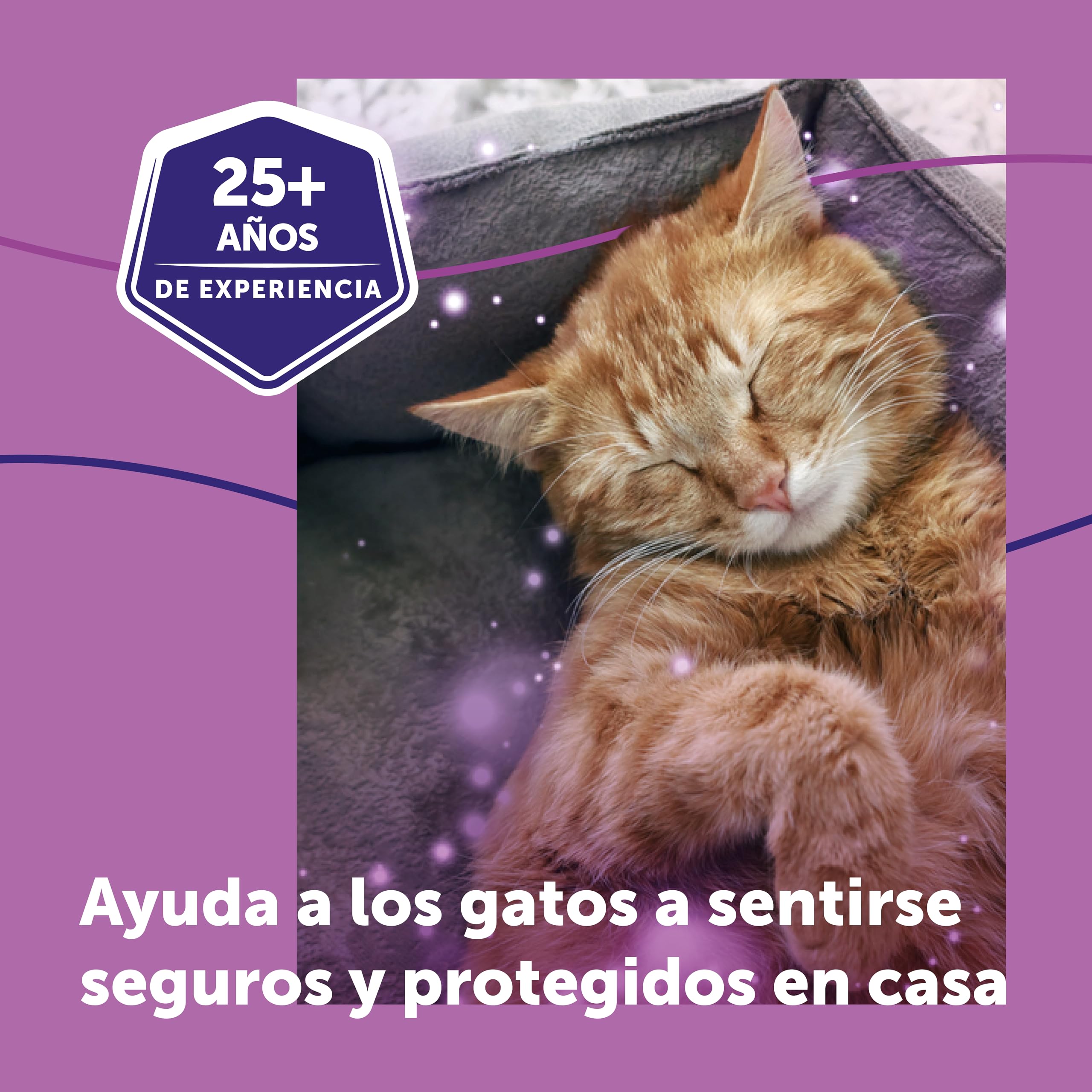 FELIWAY Classic - Difusor + Recambio de feromonas calmantes para gatos (30 días, 48 ​​ml) - Ayuda a reducir los signos más comunes de estrés. Recomendado por veterinarios. Tranquilidad y bienestar.