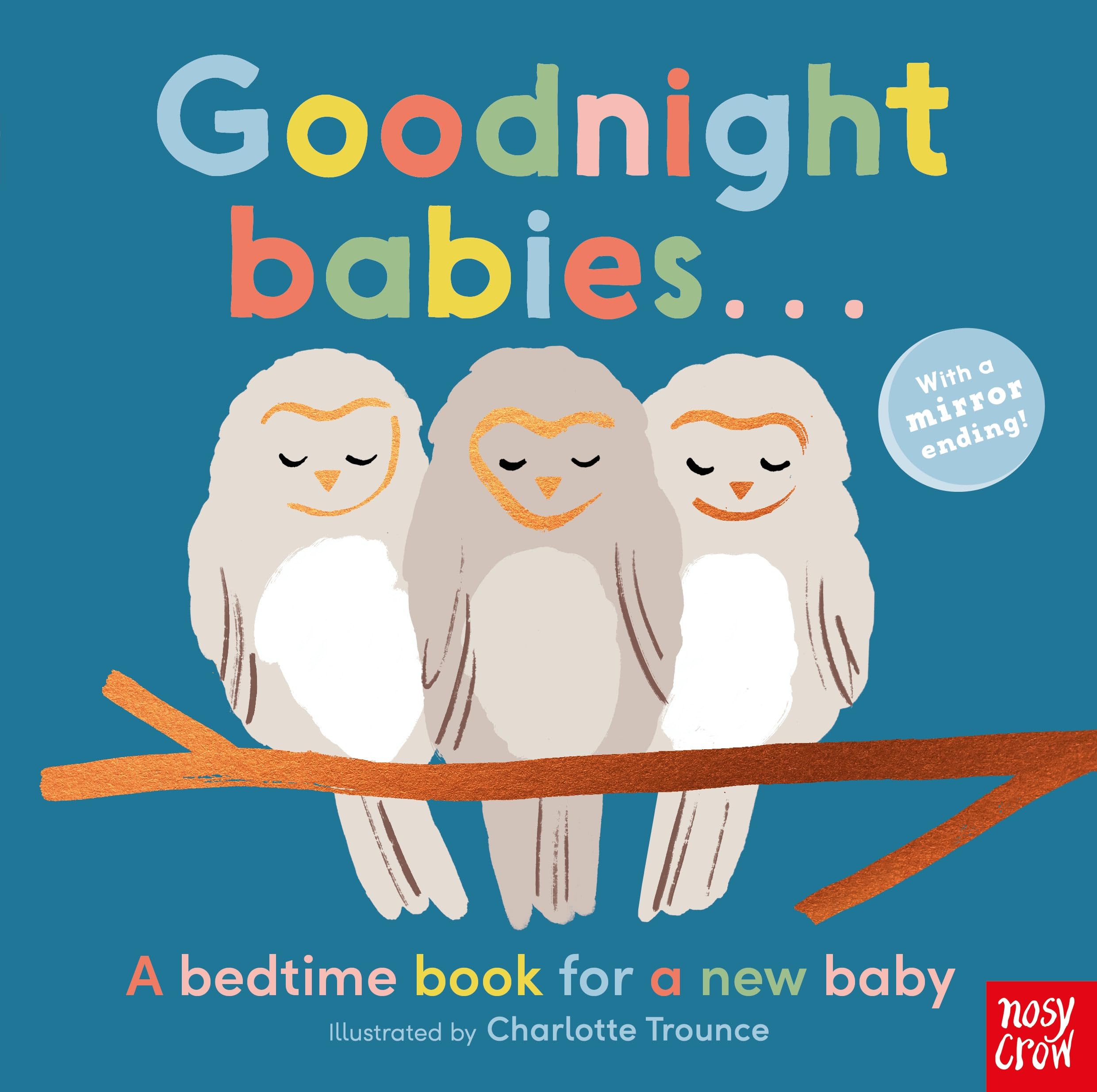 Goodnight Babies . . . by Charlotte Trounce BOARD BOOK 9781839947933