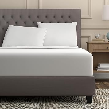 Sealy All Cotton Zippered Pillow Protector Standard/Queen 2Pack