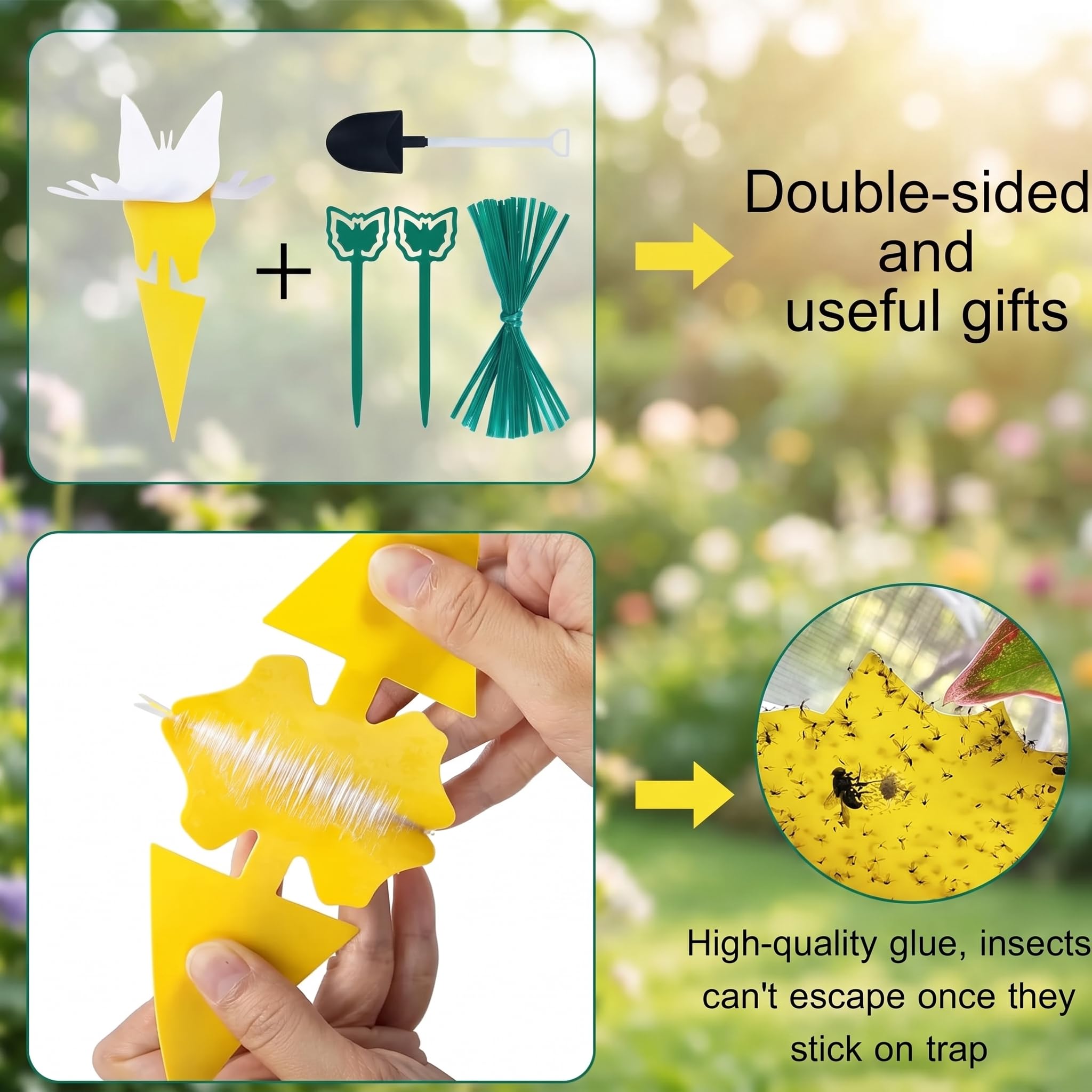 Fruit Fly Traps - Gnat Traps for Plants -3