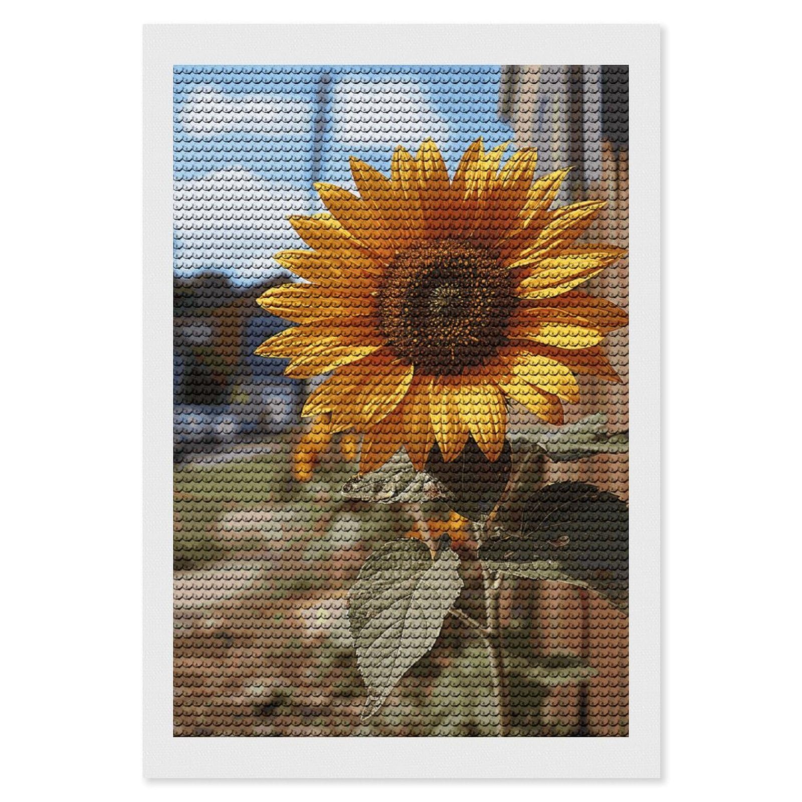 NONHAI Diamond Painting Kits for Adults - DIY Diamond Art Kits for Beginners - Full 5D Paint Drill Diamond Dots Paintings- Farm Sunflower Diamonds Pictures Gem Art and Craft Wall Decor 8"x12"