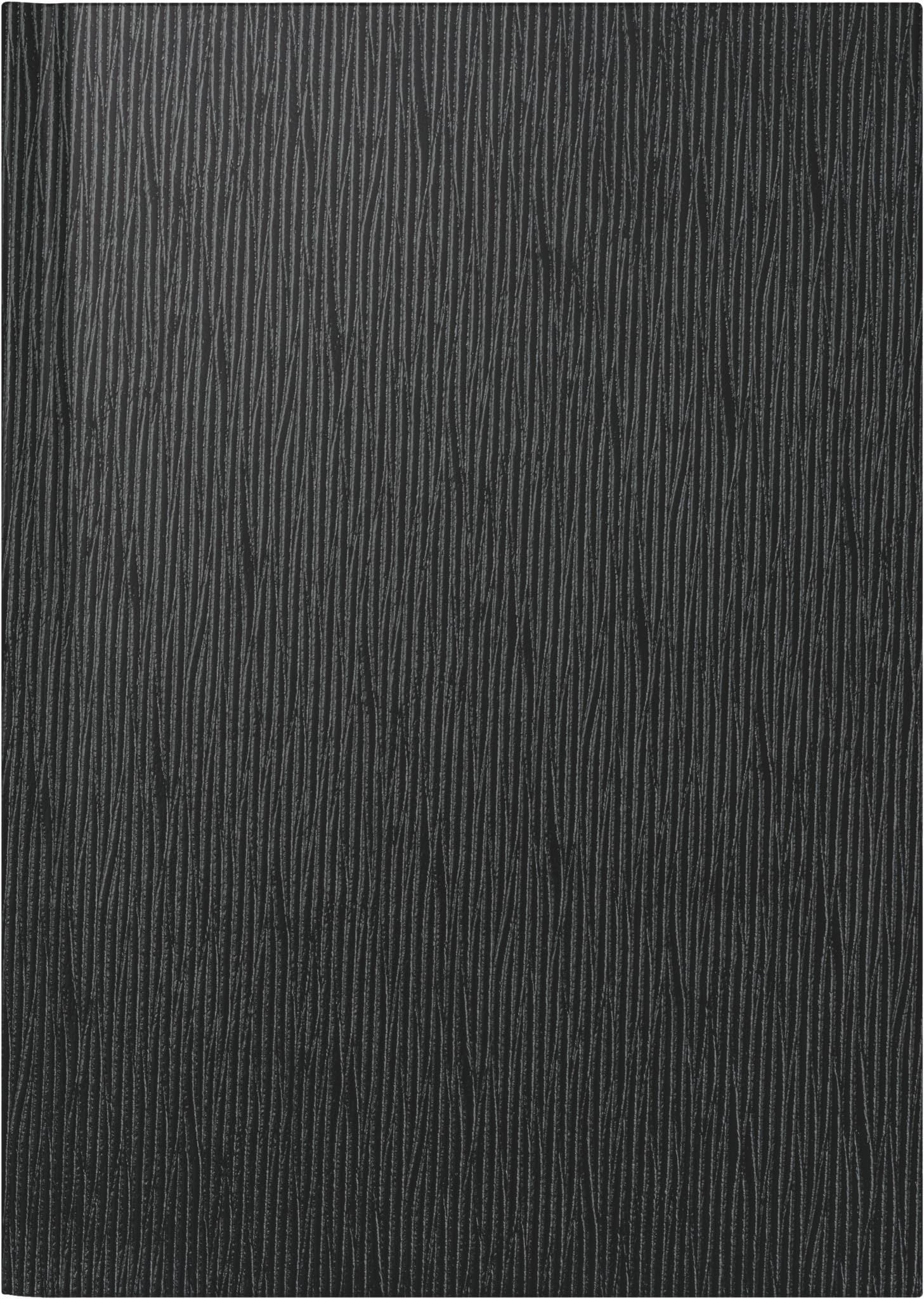 rido/idé Book Calendar Model Mentor (2025), 1 Page = 1 Day, A5, 352 Pages, Plastic Cover Valencia, Black