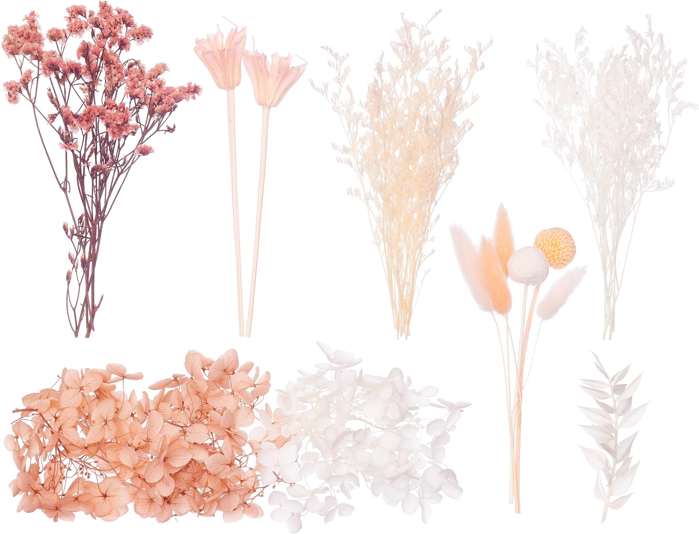 The Baked Studio - Deluxe Dried Flower Set Containing Limonium, Hydrangea, Crystal Grass, Octagonal Flower, Craspedia, Lagurus & Ruscus (Peachy Pinks, White & Orange)