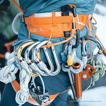 Amazon | PETZL CARITOOL EVO ユニバーサルアイススクリュー