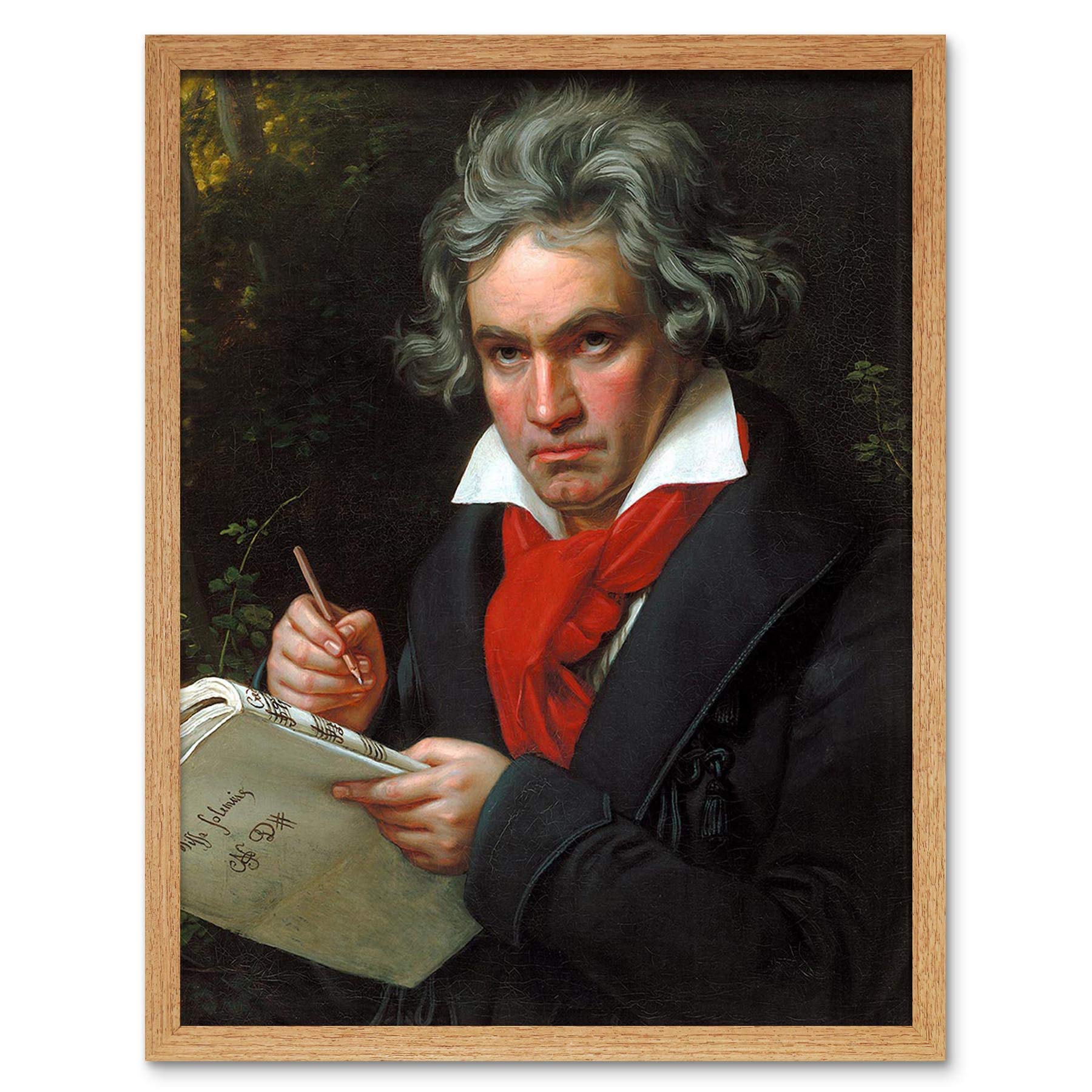 Wee Blue Coo Stieler Composer Ludwig Van Beethoven Art Print Framed Poster Wall Decor 12X16 Inch
