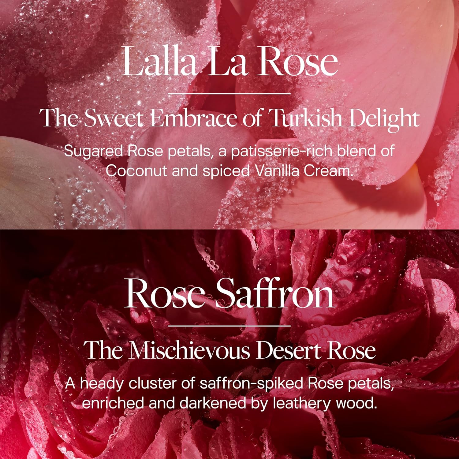 House of whind Fragrance Discovery Set – Perfume Sampler Set with 6 Unique & Elegant Mini 2 ml Scents - Image 3