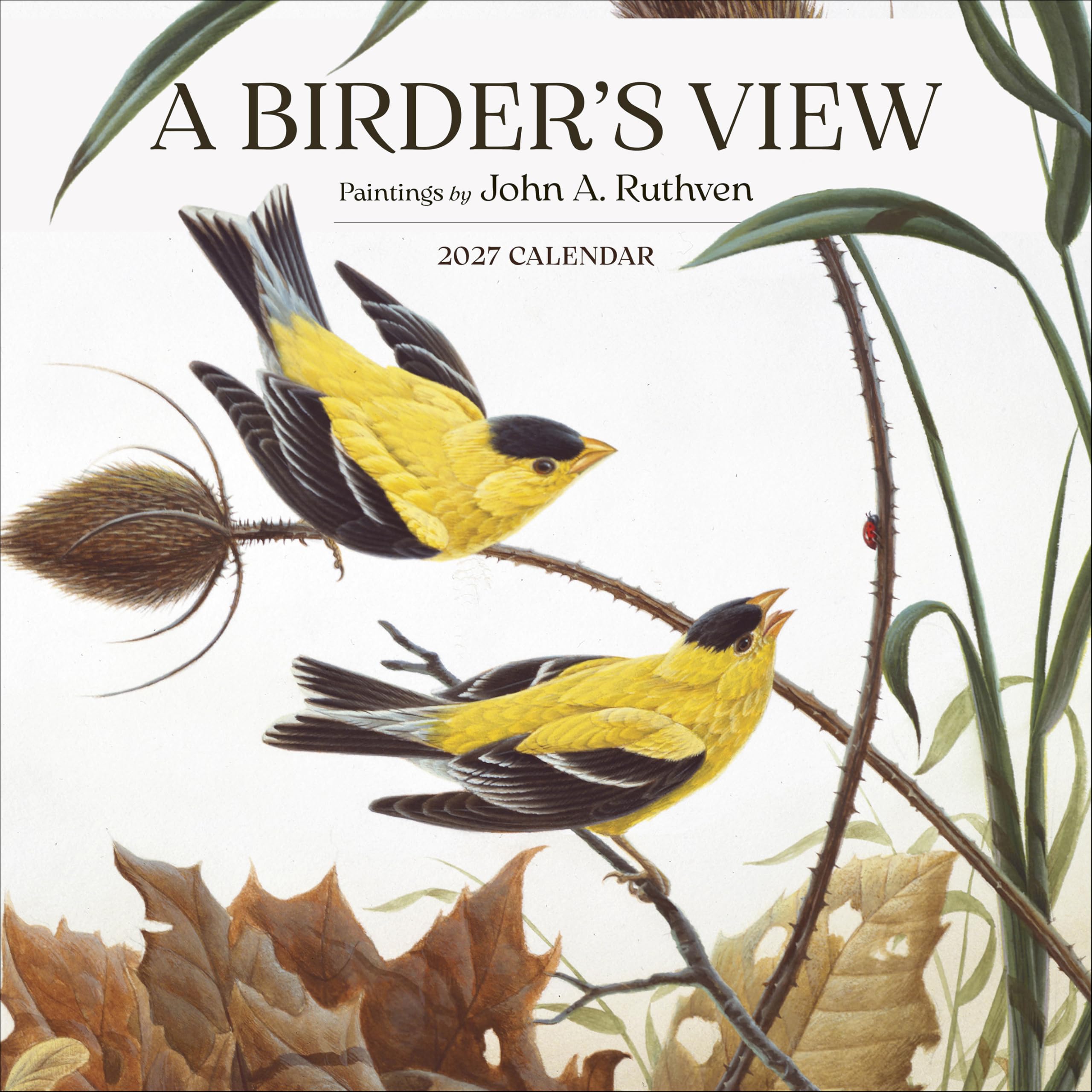 Birder's View: Paintings by John A. Ruthven 2027 Wall Calendar
