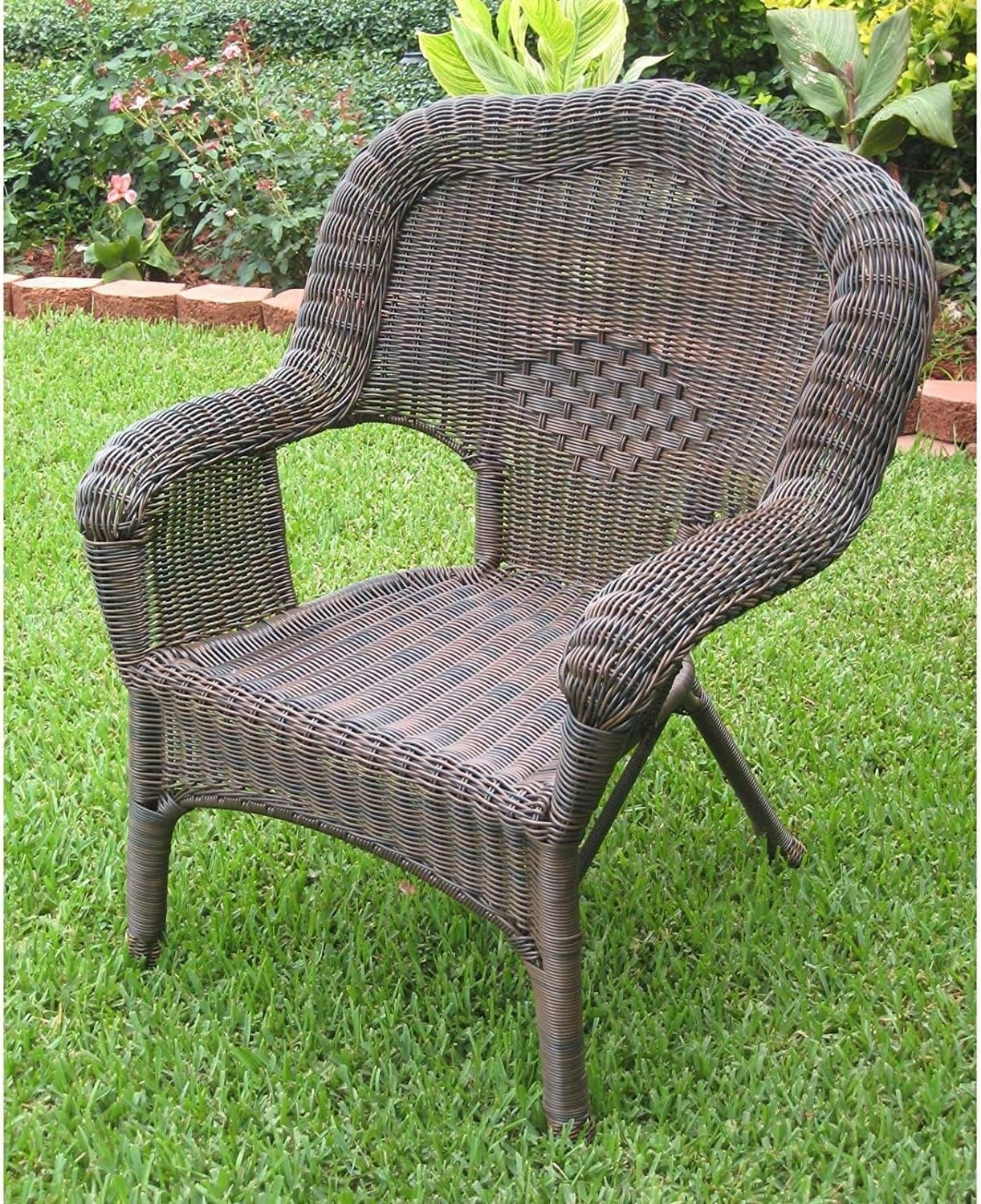 International Caravan Furniture Piece Camelback Resin Wicker Patio Chairs (Set of 2)