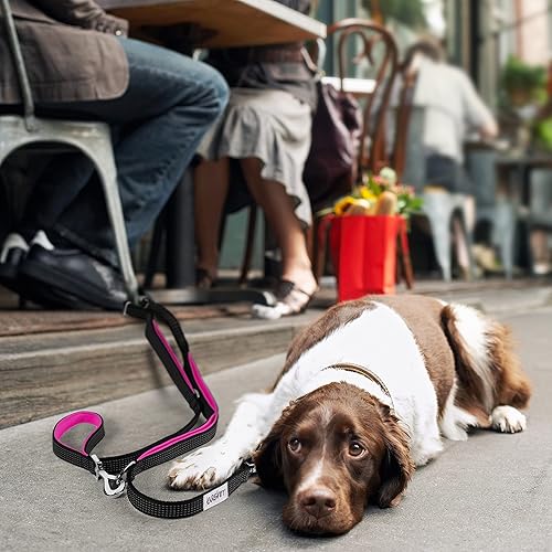 Miniatura 5 de Leashrr Correa para perro de 6 pies con elástico de seguridad sin tirones. 6 en 1 con 4 asas acolchadas y opciones de manos libres y cruzadas.