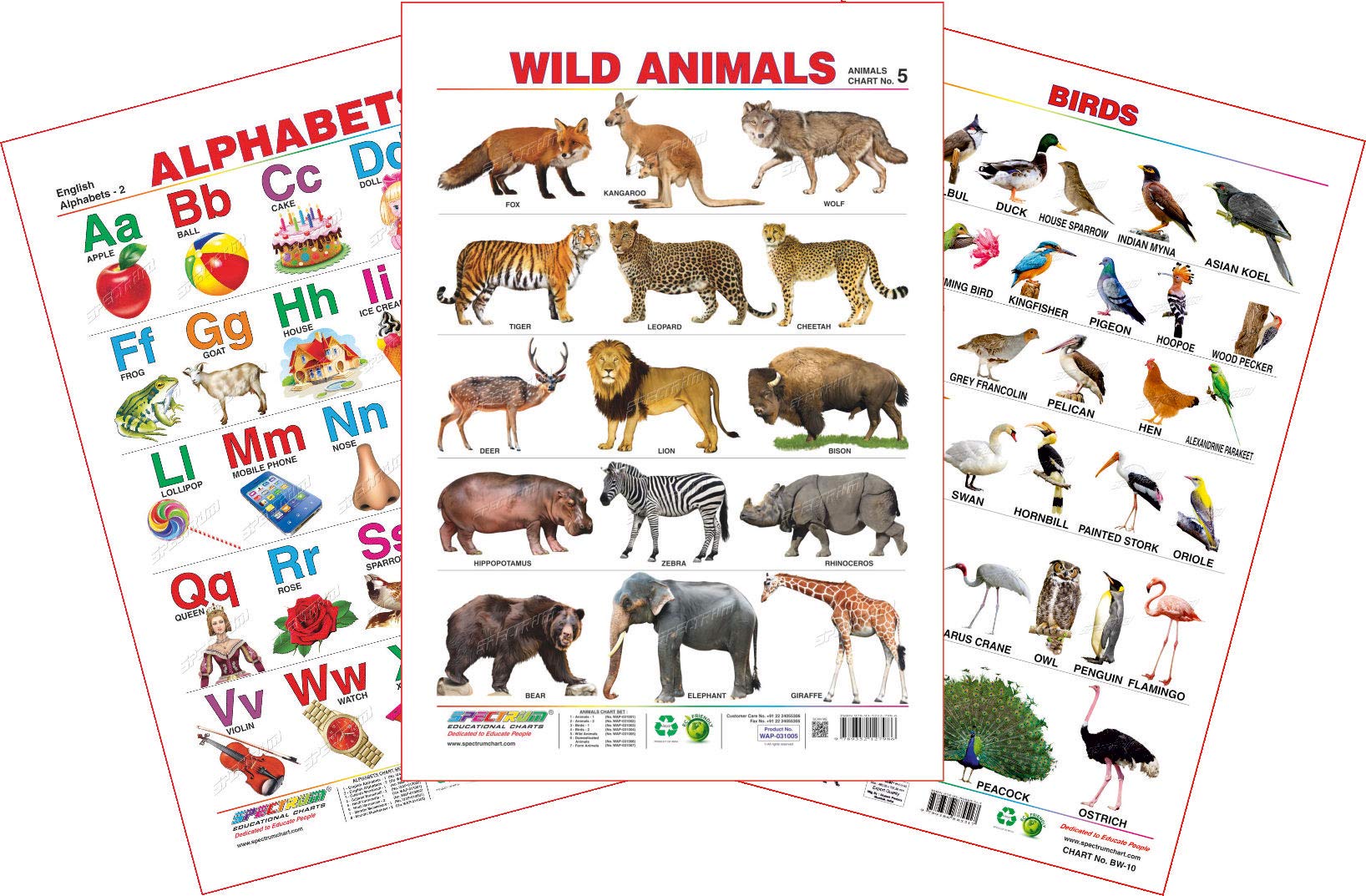 Spectrum Educational Large Wall Charts (Set of 3) : ( English Alphabets , Wild Animals & Birds )-image-42
