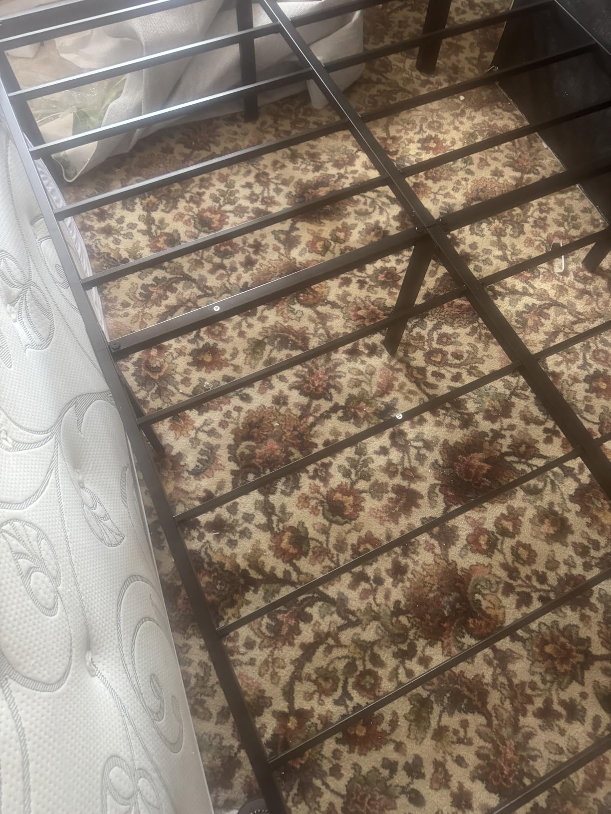 Customer photo