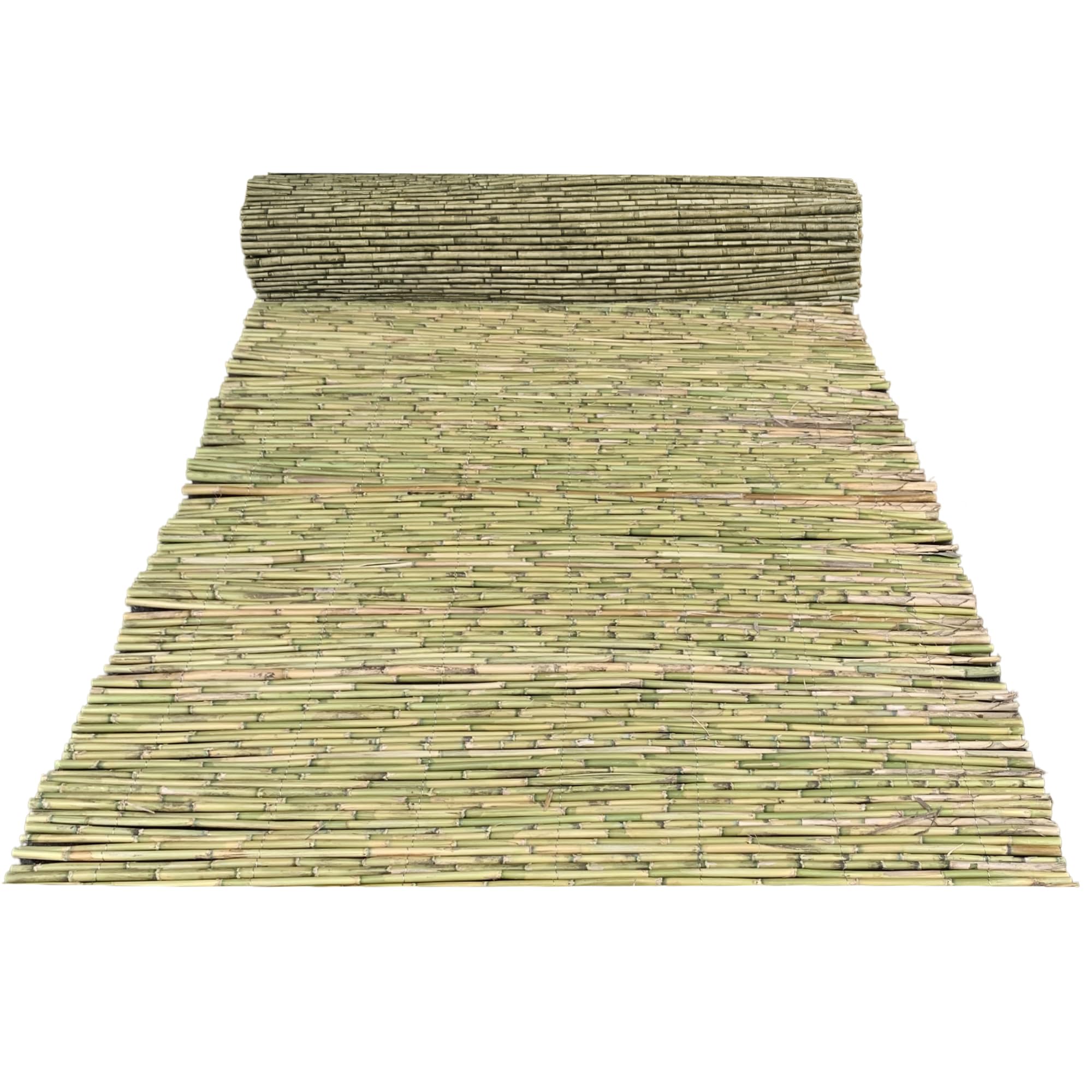 Sicignano | Canne Italia Arella in Bamboo Naturale 2x3 Metri, Ideale per Recinzioni Separè Coperture Spazi Privacy, Casa Giardino Mare Spiaggia, Utili per Creare Ombra