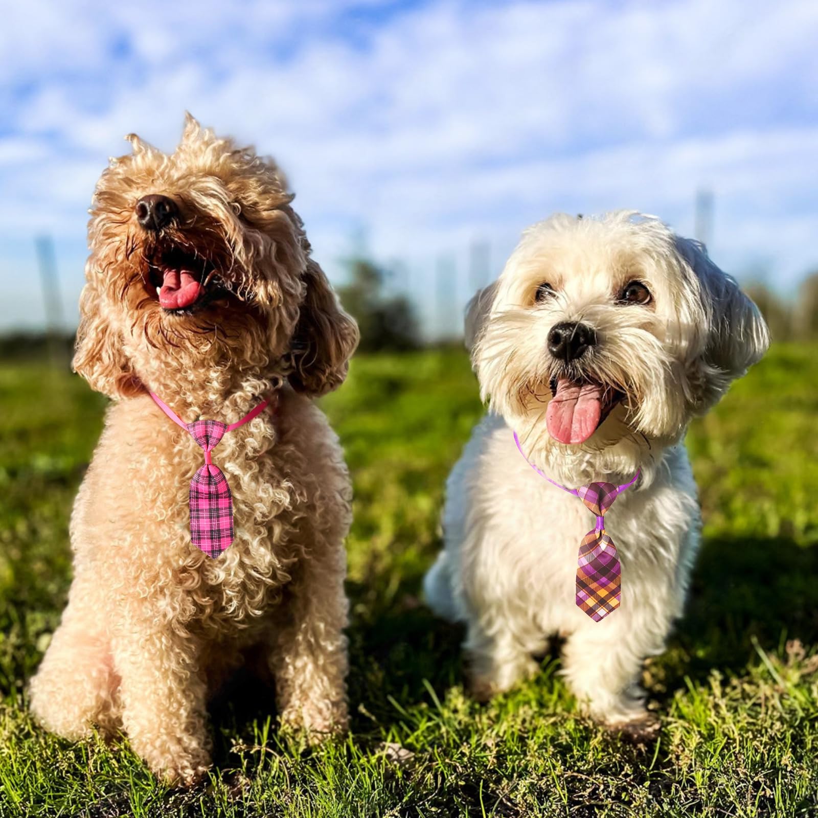 Segarty Set mit Fliege und kleinen Hunden, 100 Stück, verstellbare Hundefliegen, Katzen, Halsbänder, Fliegen für Hunde, Fellpflege-Zubehör, Großpackung für Katzen, Welpen, Hunde, Geburtstag, Hochzeit,