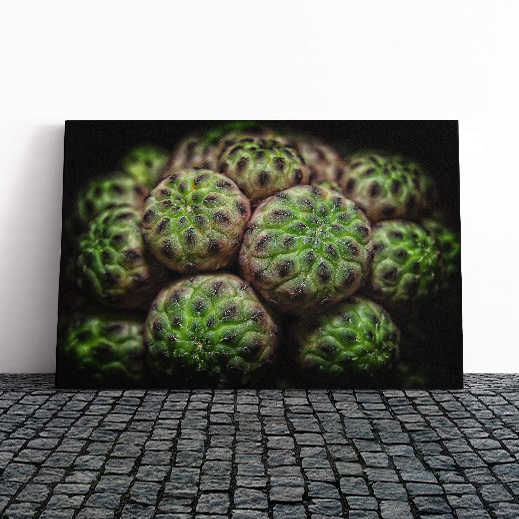 Green Cactus Canvas Print | Gallery Wrapped 30mm Frame Wall Art | 24x16 inches | Ready to Hang | Modern Floral Picture | Living Room Bedroom Lounge Office