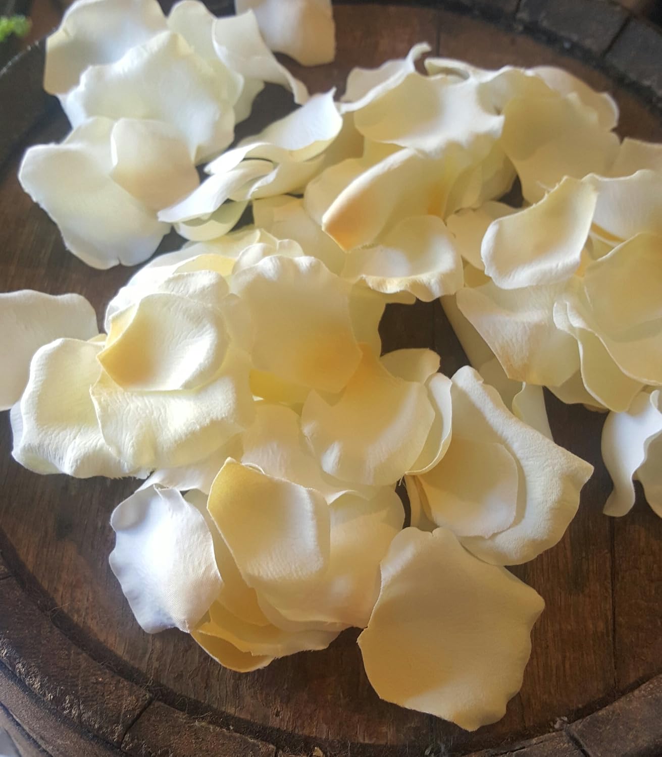 Artificial Cream Rose Petals 100pcs Everything Else