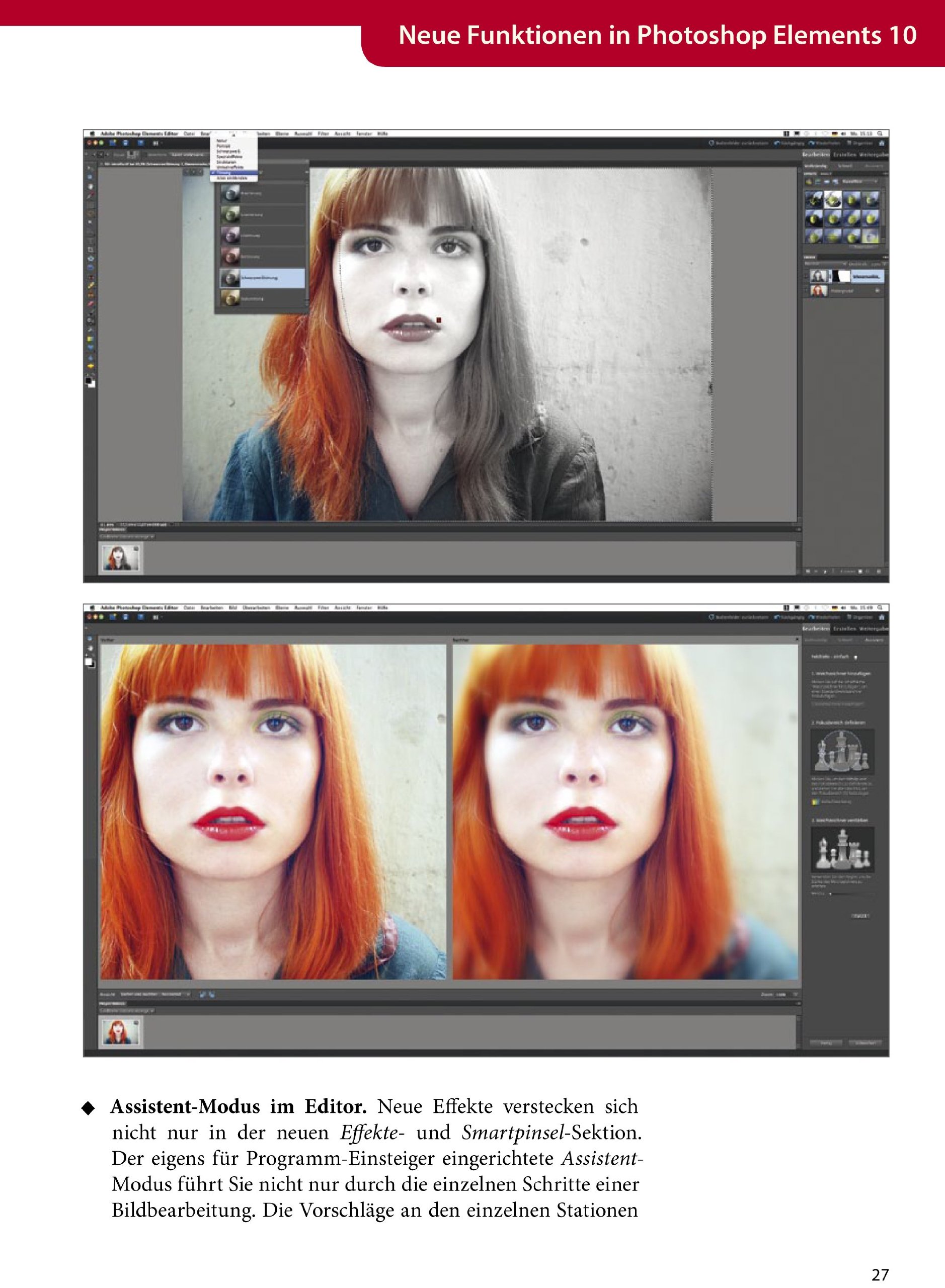Das Praxisbuch zu Adobe Photoshop Elements 10: Bilder organisieren, optimieren und präsentieren - für Windows & Mac