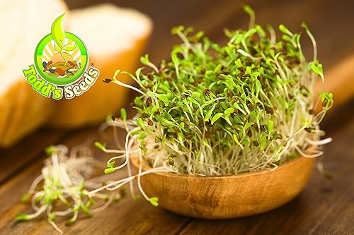 Miniatura 4 de Semillas de brotes de alfalfa sin químicos. 1lb de semillas para: brotes para ensaladas. Se puede cultivar en cualquier germinador