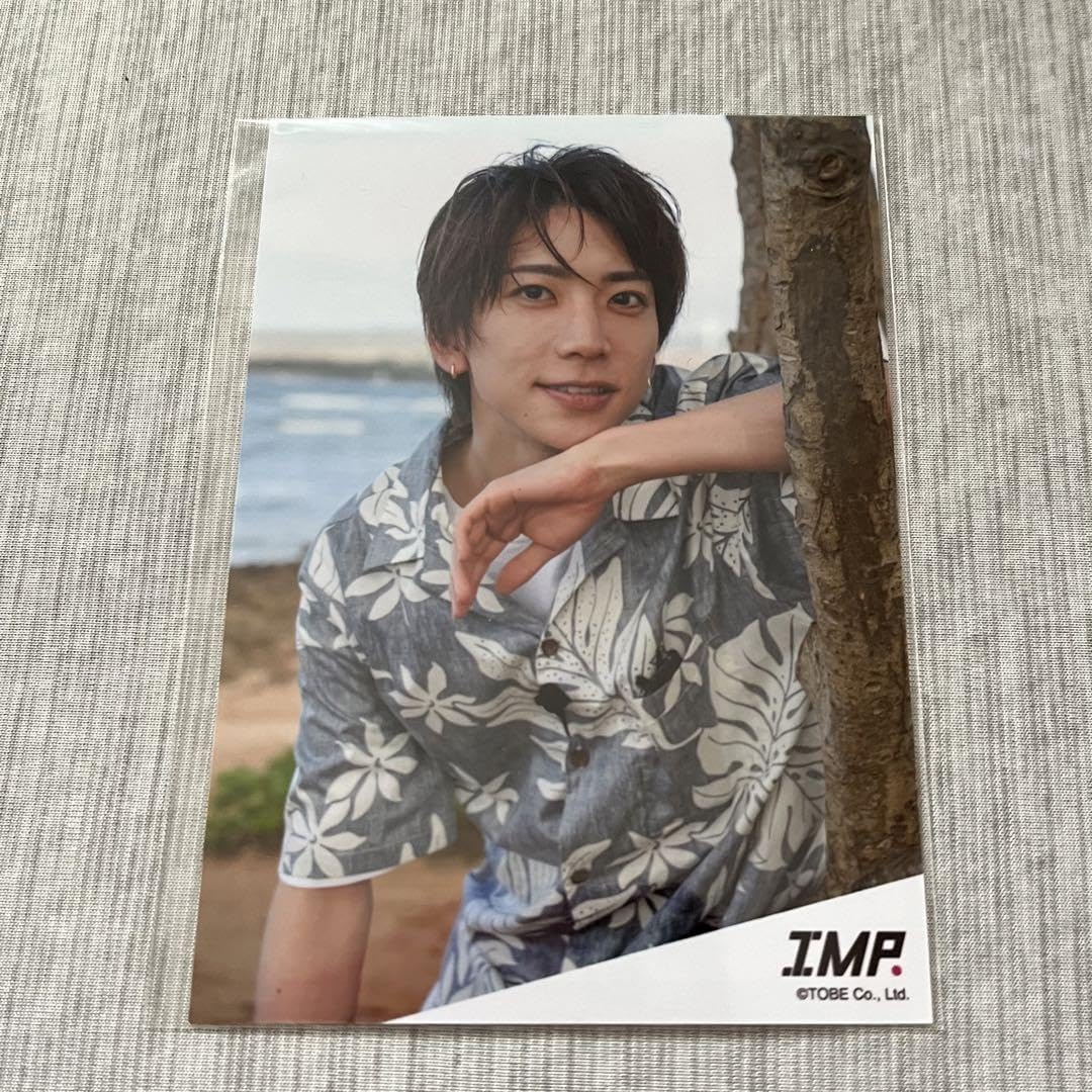 Amazon.co.jp: IMP. 鈴木大河 公式写真 : Toys & Games