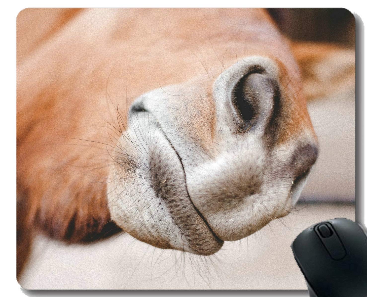 Gaming Mouse Pad Custom,Horse,Beard,Nose with Stitched Border
