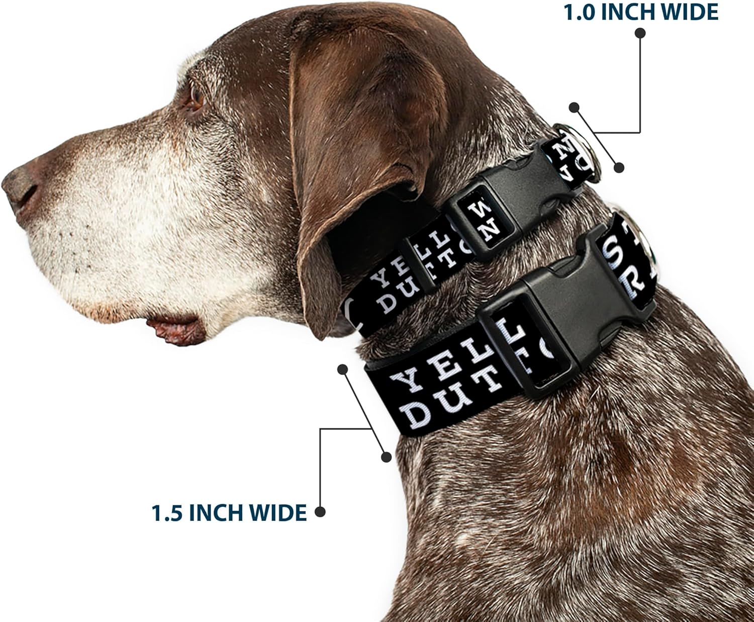 Paramount Network Pet Collar, Dog Collar Plastic Buckle, Yellowstone Dutton Ranch and Y Logo Black White, 20 to 31 Inches 1.5 Inch Wide