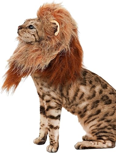 Miniatura 3 de California Costumes disfraz de Animal Planet de león para perro, L, Marrón