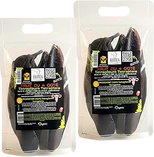 X8 Fruit moyen à petit du 4 Côtés Tétrapleura Tetraptera – Plante Naturelle Africaine – Fertilité Féminine – Régulation Hormonale – Bien-Être Intime – Usage Traditionnel