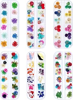 Dried Flowers for Resin Craft Nail Art Mix Small Mini Dry Flowers (Pack of 6 Boxes, About 260 PCS)