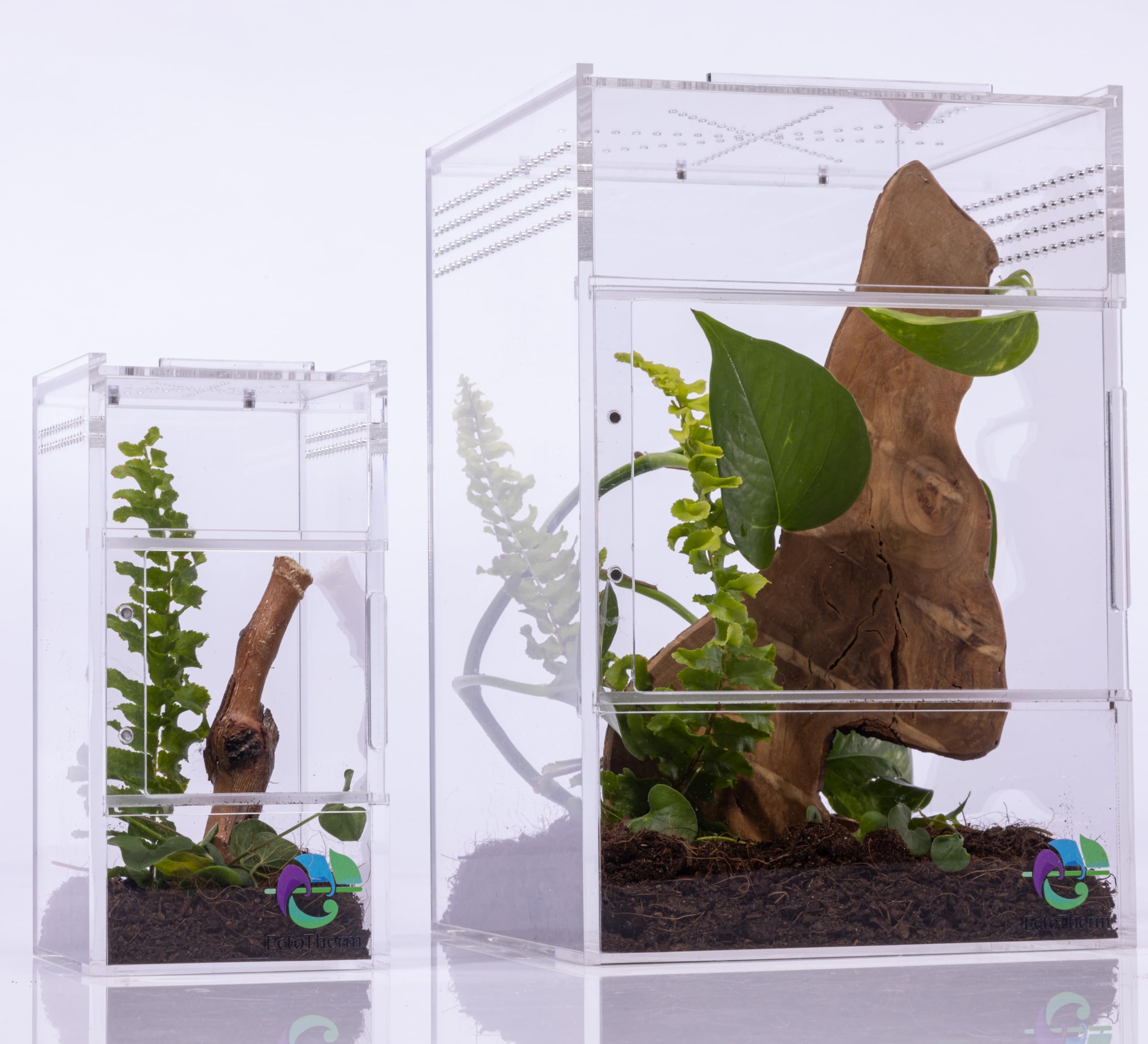 EctoTherm Jumping Spider Enclosure