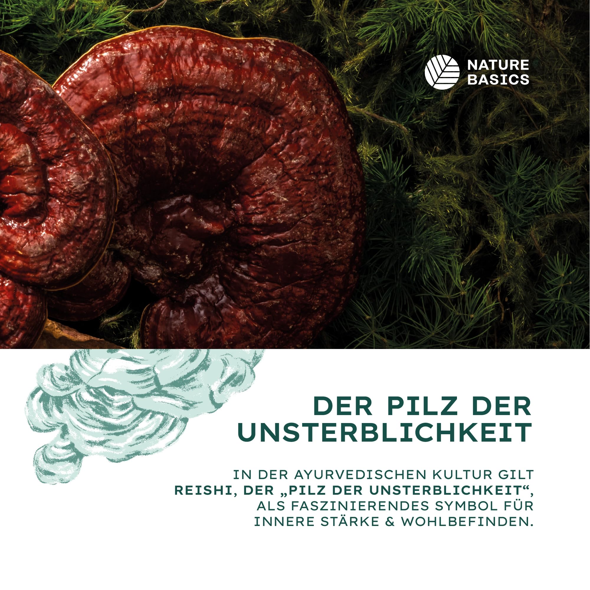 Bio Reishi - 120 Kapseln hochdosiert / 1500 mg hochwertiges Bio Reishi Extrakt mit 600 mg Polysacchariden pro Tagesdosis/Vegan, Zertifiziert & Nachhaltig im Glas