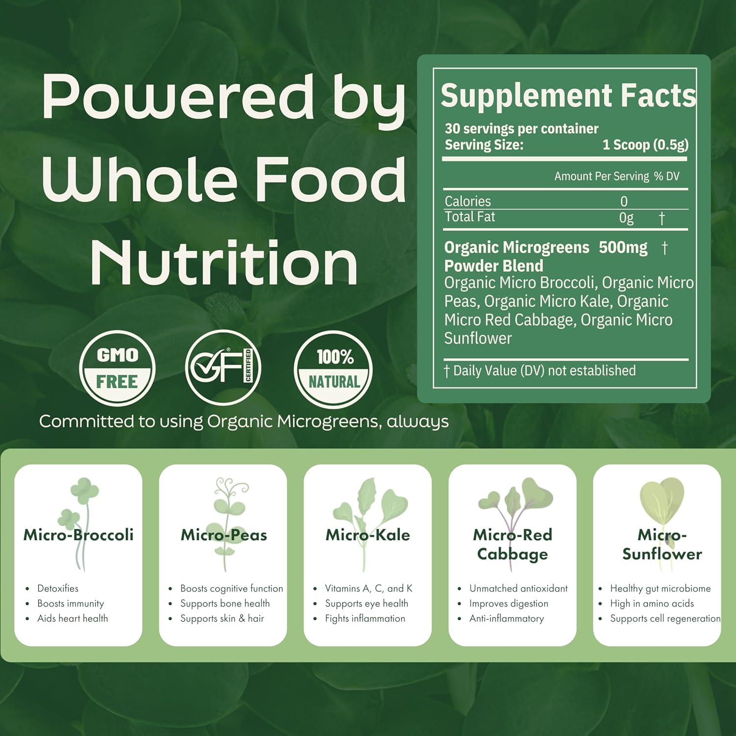 PICK'D POWDERS Microgreens Powder – Daily Greens Powder Support for Energy, Digestion, and Immune Wellness | Organic Microgreens Blend (15 Servings)