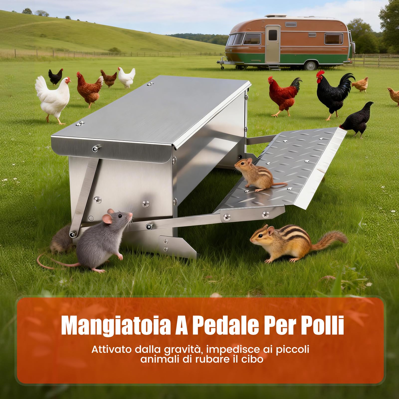 Mangiatoia per Polli a Pedale, Mangiatoia Automatica per Polli da 5 Kg, Senza Sprechi, con Coperchio Resistente Alle Intemperie per Galline e Anatre