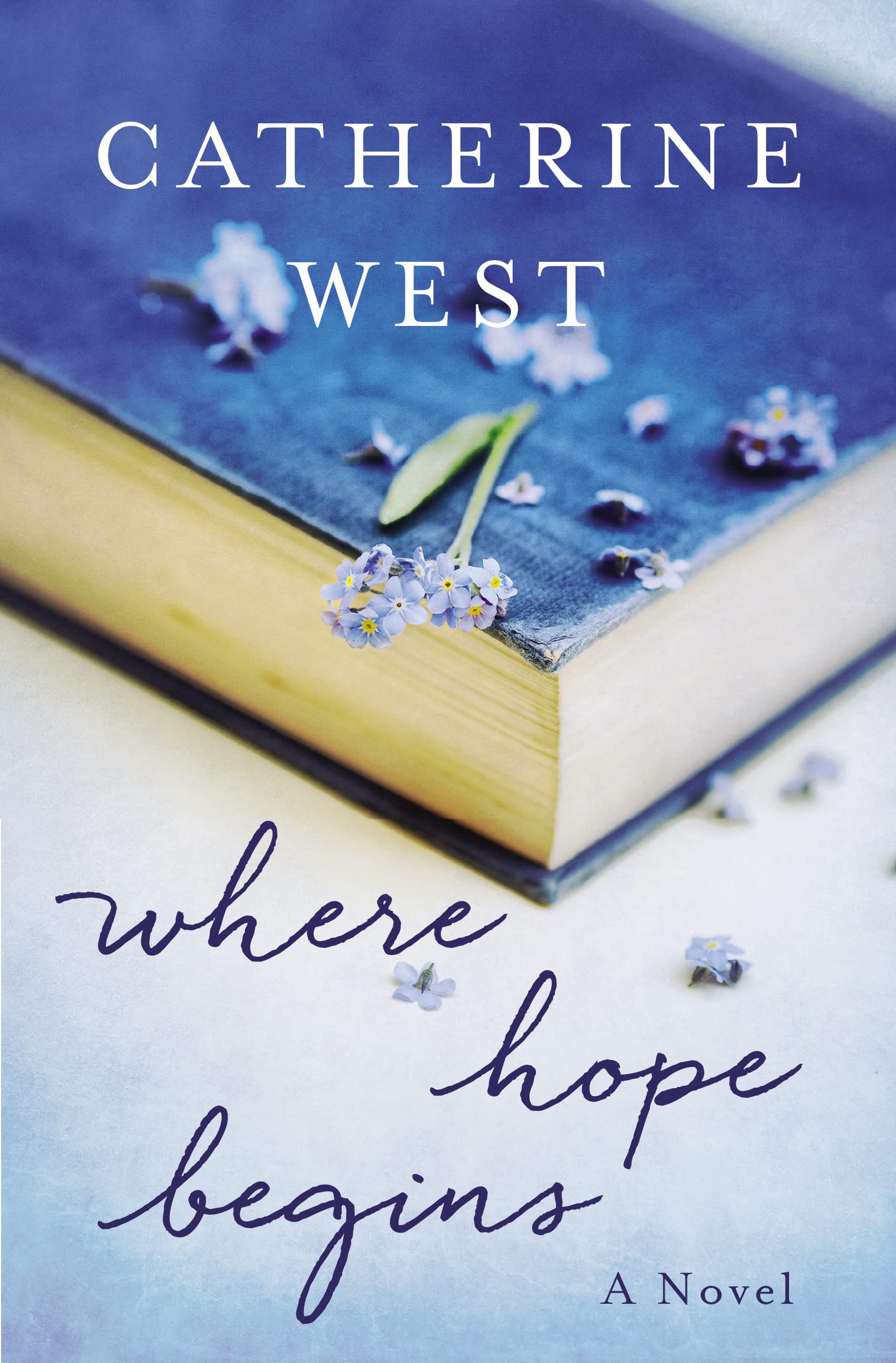 Where Hope Begins (The Berinfell Prophecies, 2)