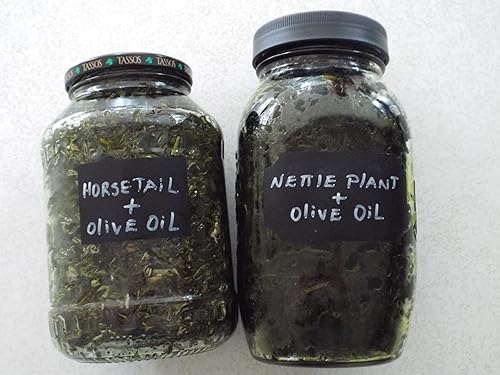 Miniatura 4 de WILD FOREST Barra de champú de ortiga de cola de caballo, hierbas para el cabello rico en minerales, fortalecimiento del cabello y el cuero