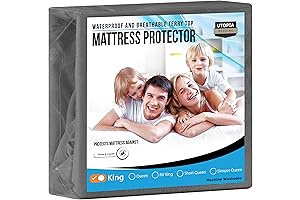 Fit & Fresh Lunch Bag | Pack Fresh, Fit & Fun!