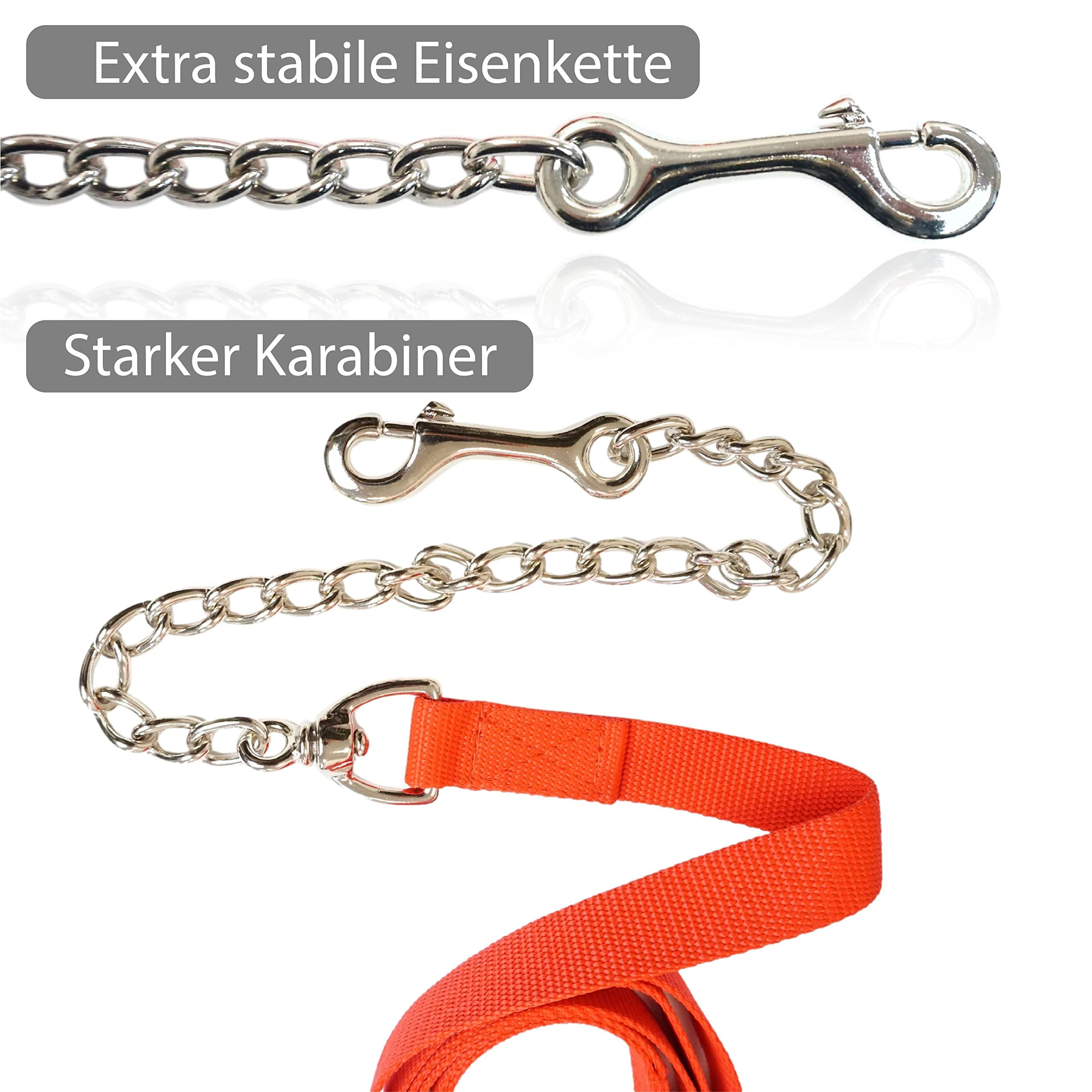 Catena di guida per cavalli | guida sicura con catena di ferro e manico in nylon | Guinzaglio adatto per stalloni cani pony asini | Lunghezza 2,10 m (rosso)
