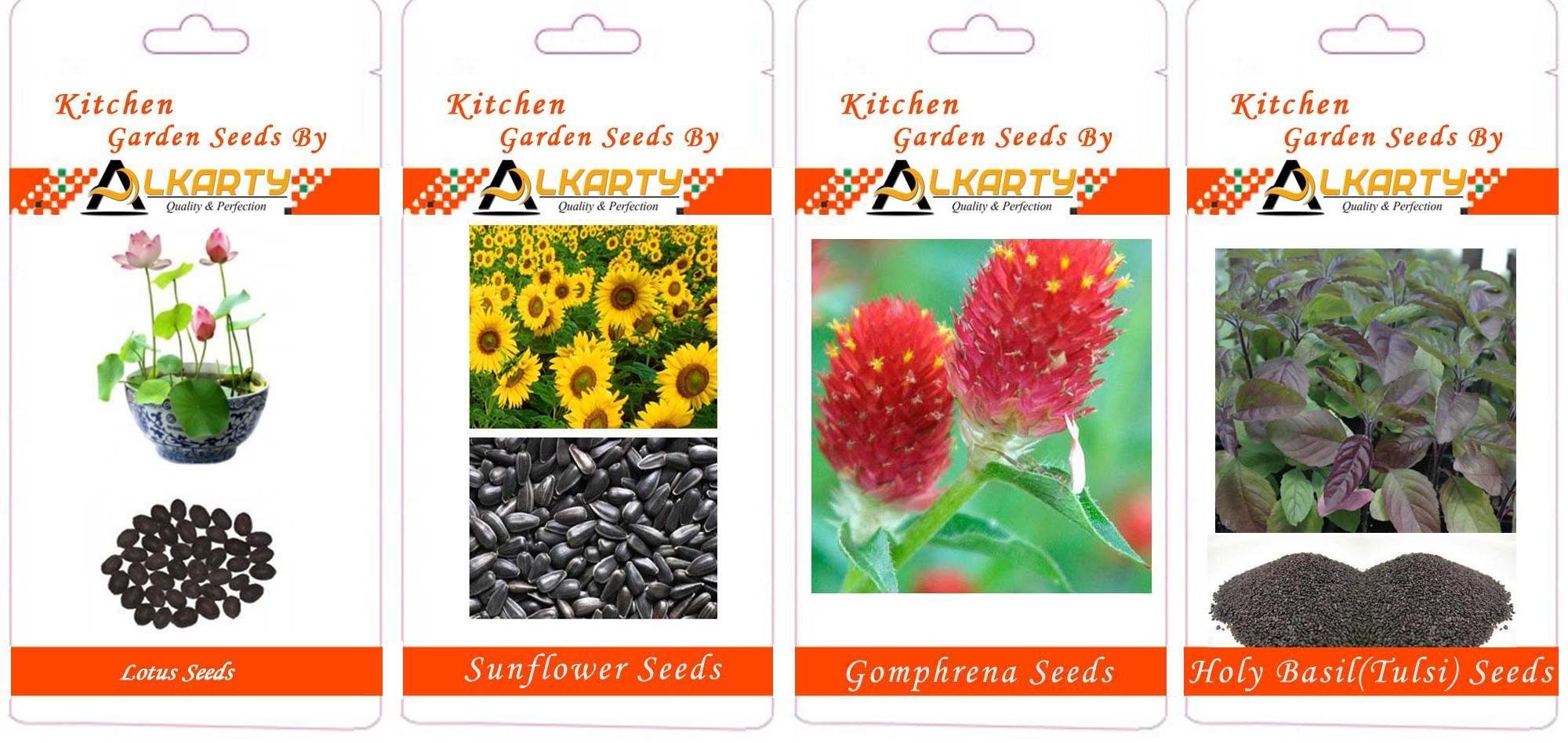 Lotus, Sunflower, Gomphrena, Tulsi Summer Flower Seeds Pack of 20 Each-image-36